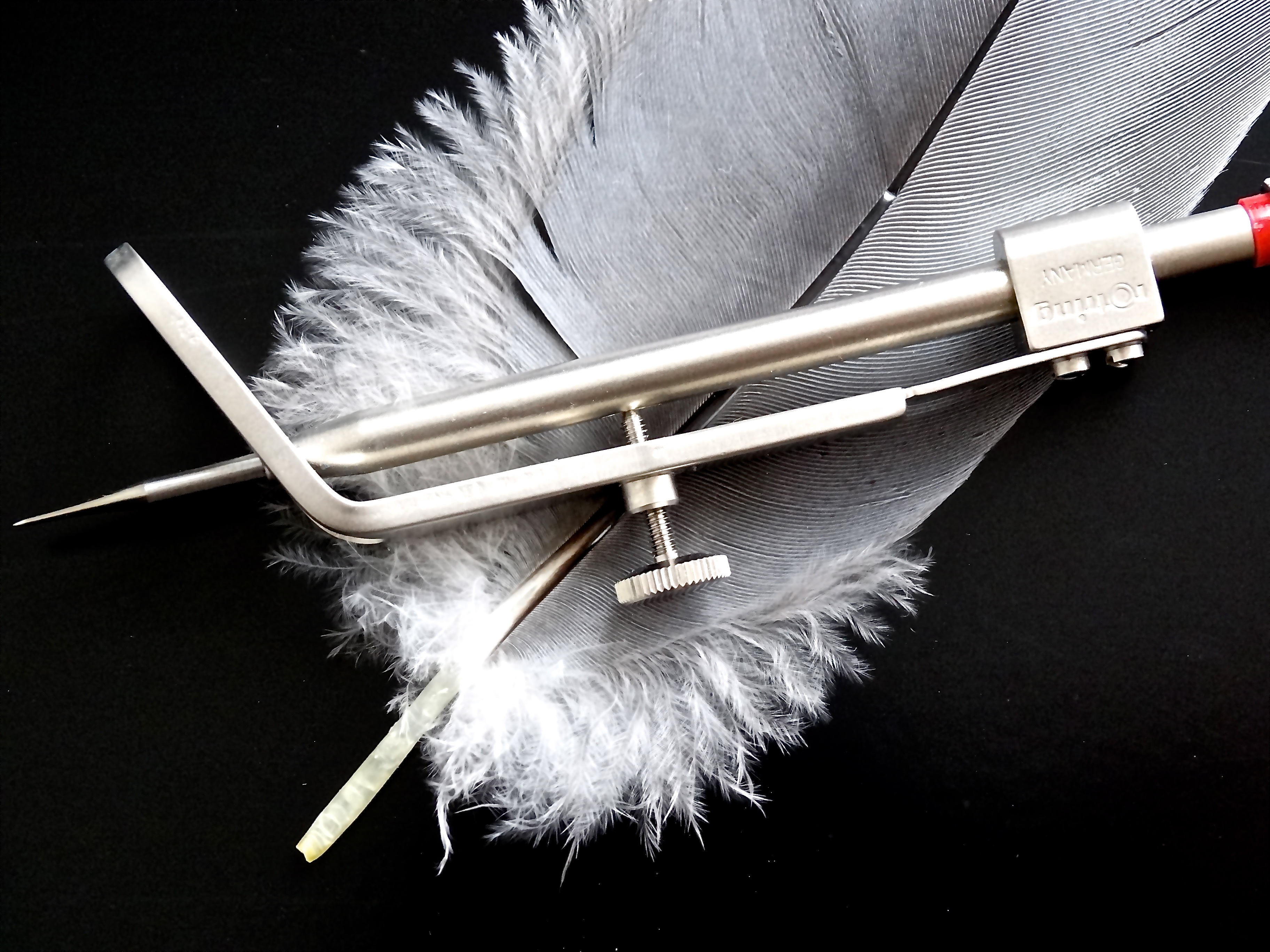 art and craft, table, craft, high angle view, zirkel, knitting needle, feather, softness, black background, studio shot, white color, nature, slightly, HD Wallpaper