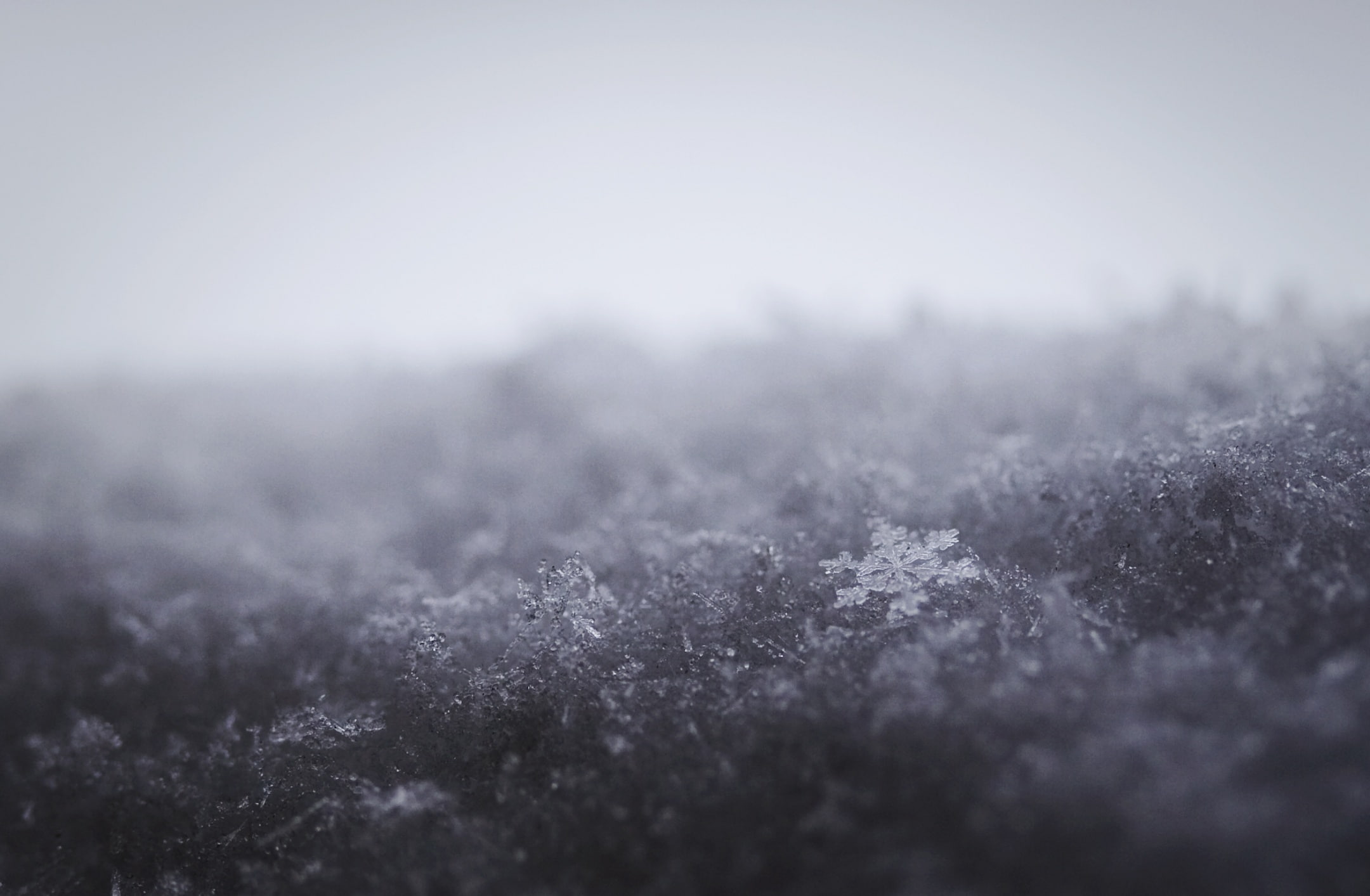 unique, Snow, Frozen, magnified, Gray, Snowflake, winterstorm, Aero, Macro, 1080P, Winter, Cold, HD Wallpaper
