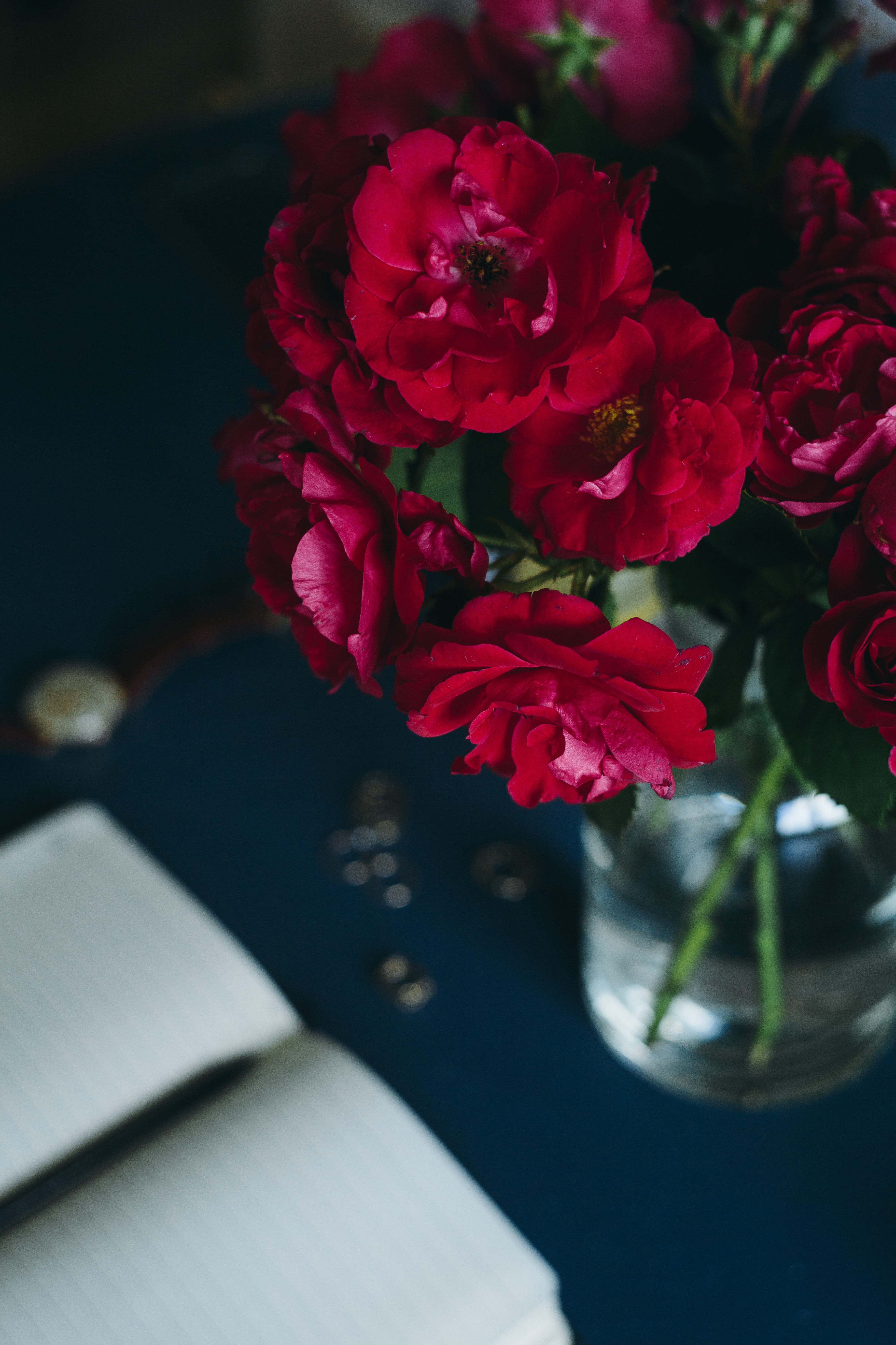 vase, fragility, vulnerability, rose, roses, bucket, bouquet, table, flower head, plant, cute, lovely, close-up, no people, petal, beauty in nature, female, Phone HD Wallpaper
