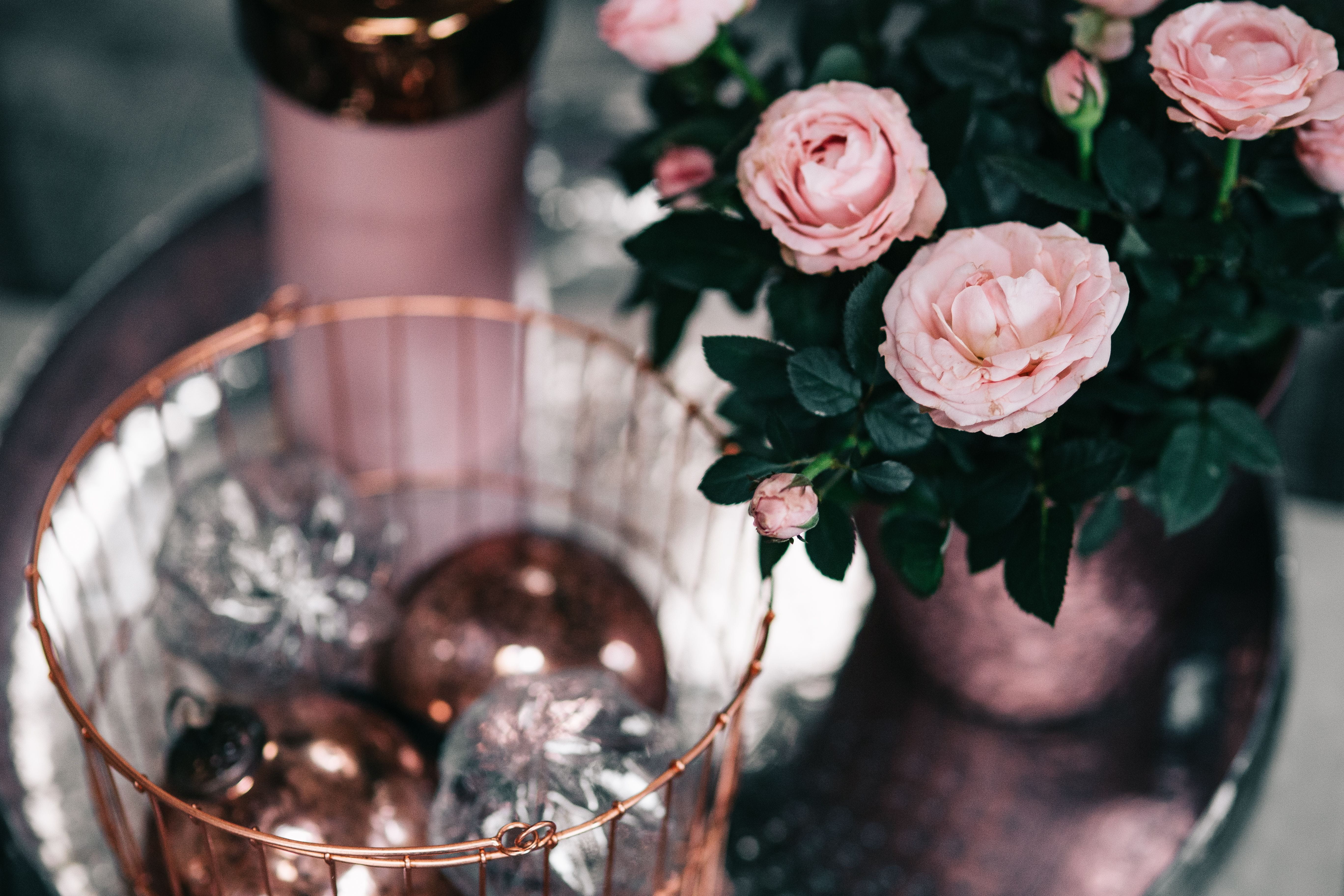 Christmas, rose, bouquet, beauty in nature, vase, flower arrangement, flower pot, freshness, no people, celebration, romance, plant, decoration, selective focus, HD Wallpaper