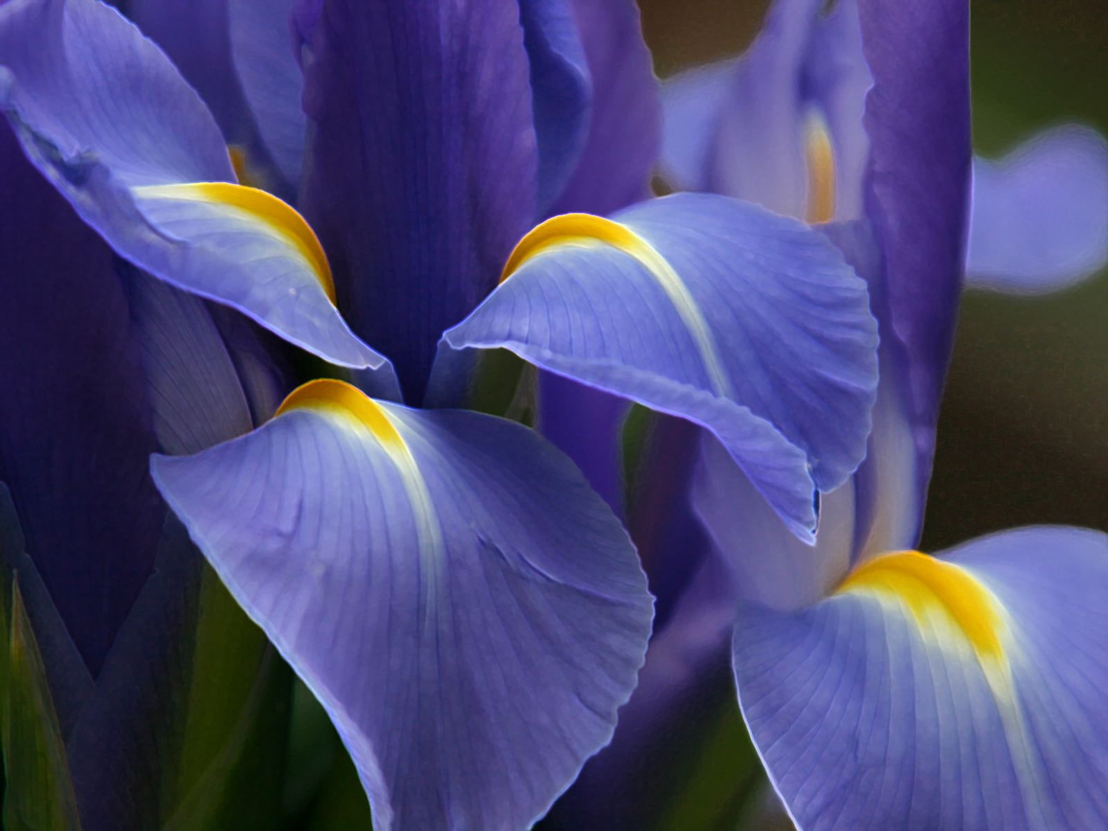 720P, fragile, HD Wallpaper