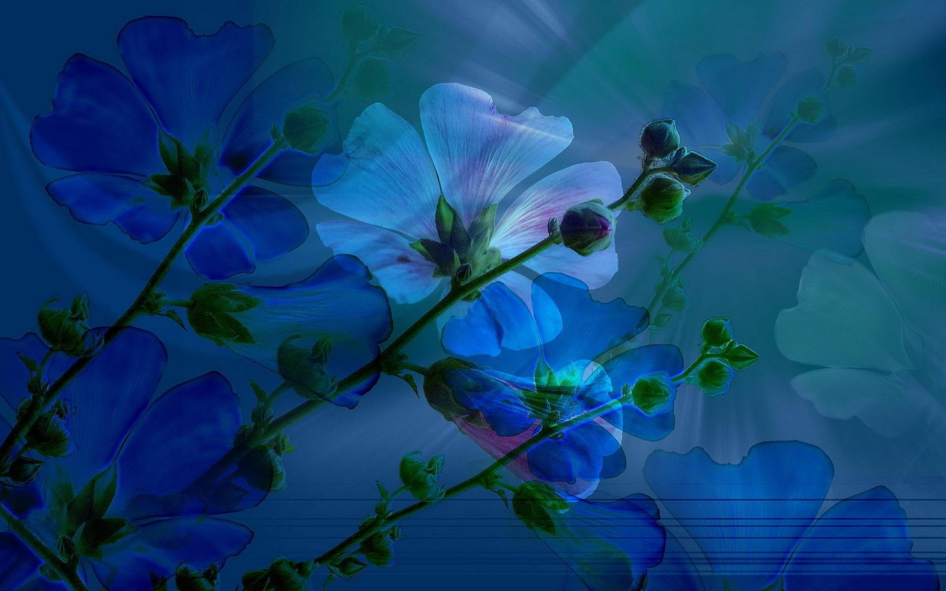 blue, 1080P, 3d and abstract, spring, nature, flowers, floral, artistic, beauty, photography, HD Wallpaper