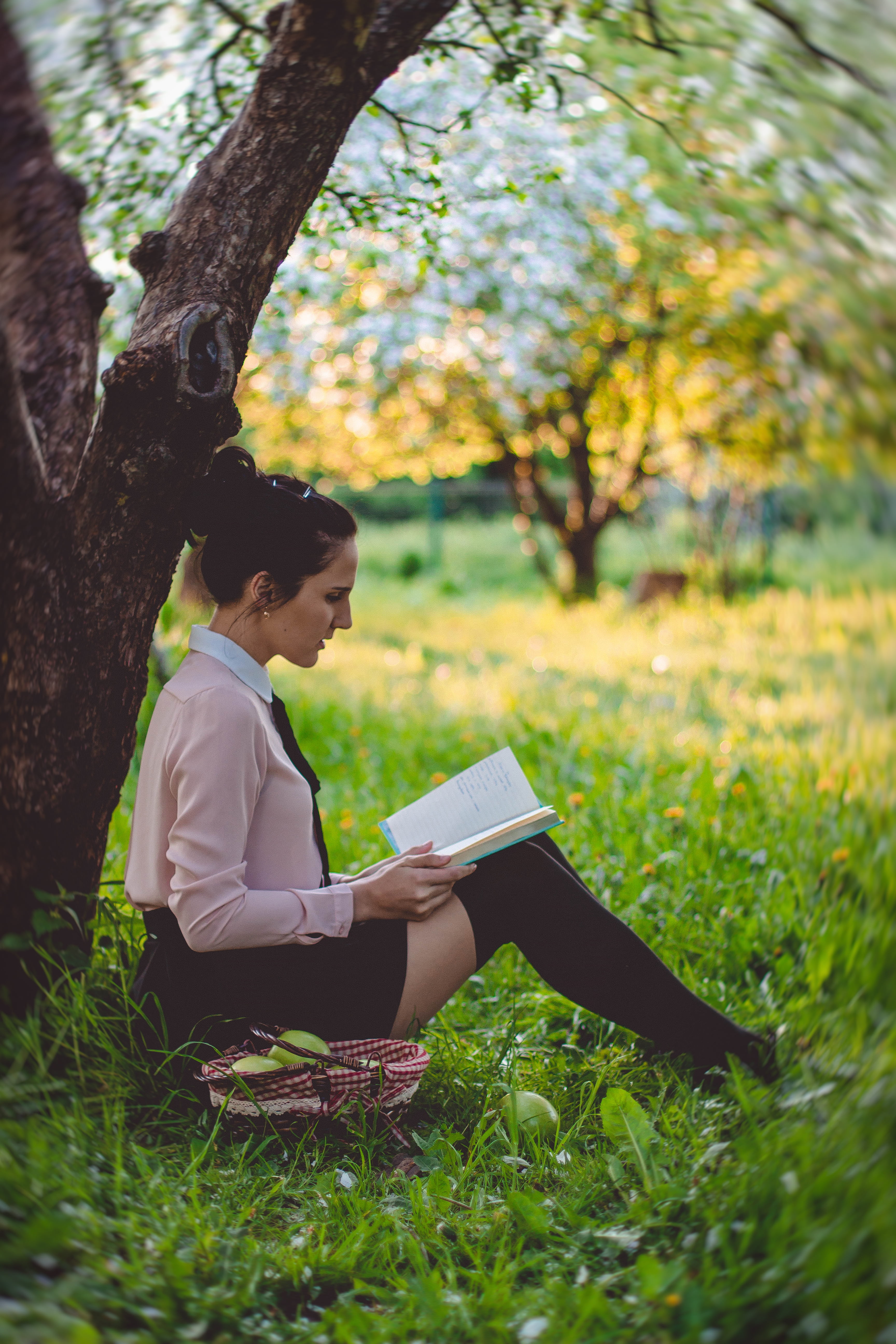 real people, adults only, people, young women, fashion, only women, one young woman only, reading, travel, sitting, alone, grass, young adult, tree, fruit, Phone HD Wallpaper