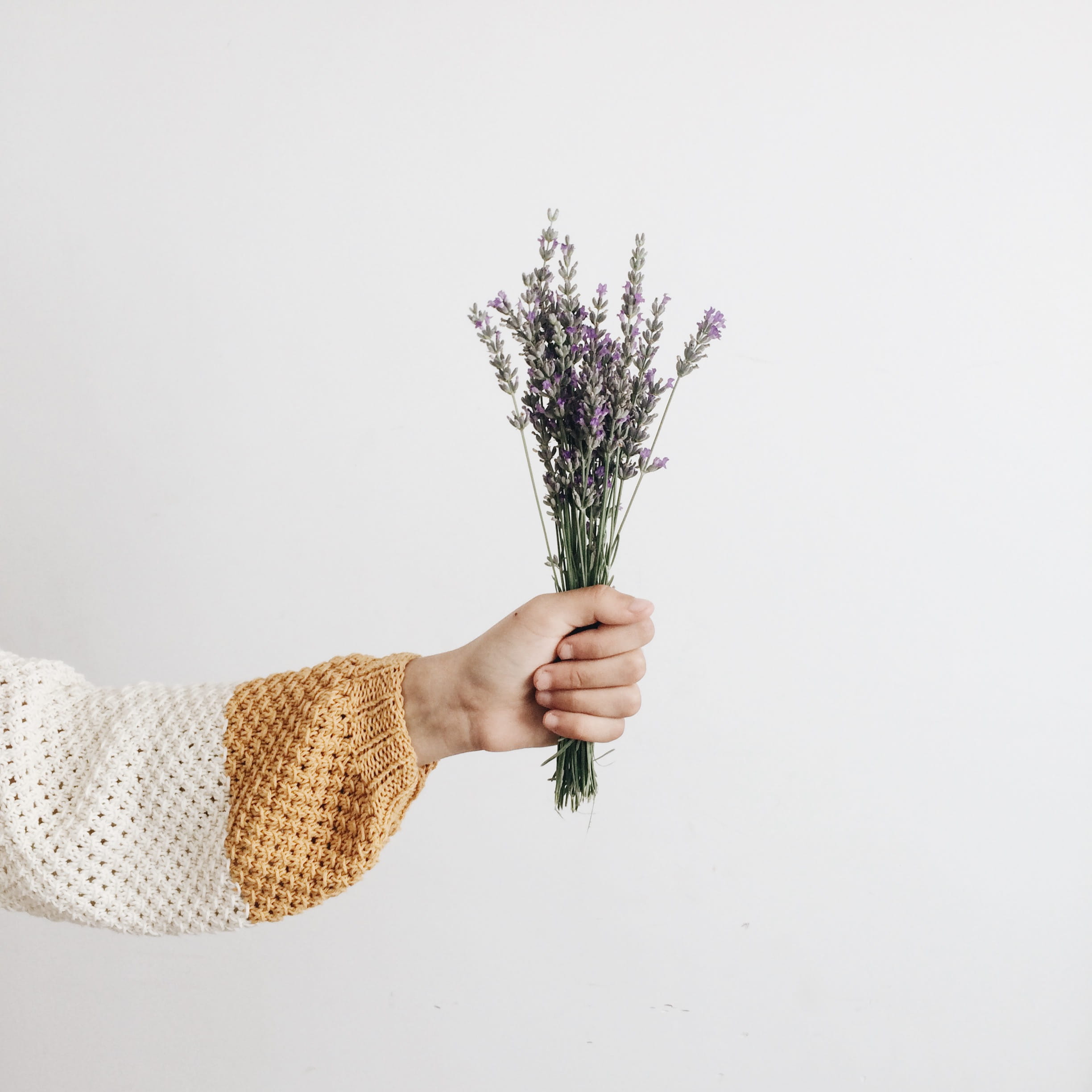 nature, person, finger, human limb, copy space, cut out, holding, human body part, hand, unrecognizable person, vulnerability, plant, lifestyles, one person, Phone HD Wallpaper