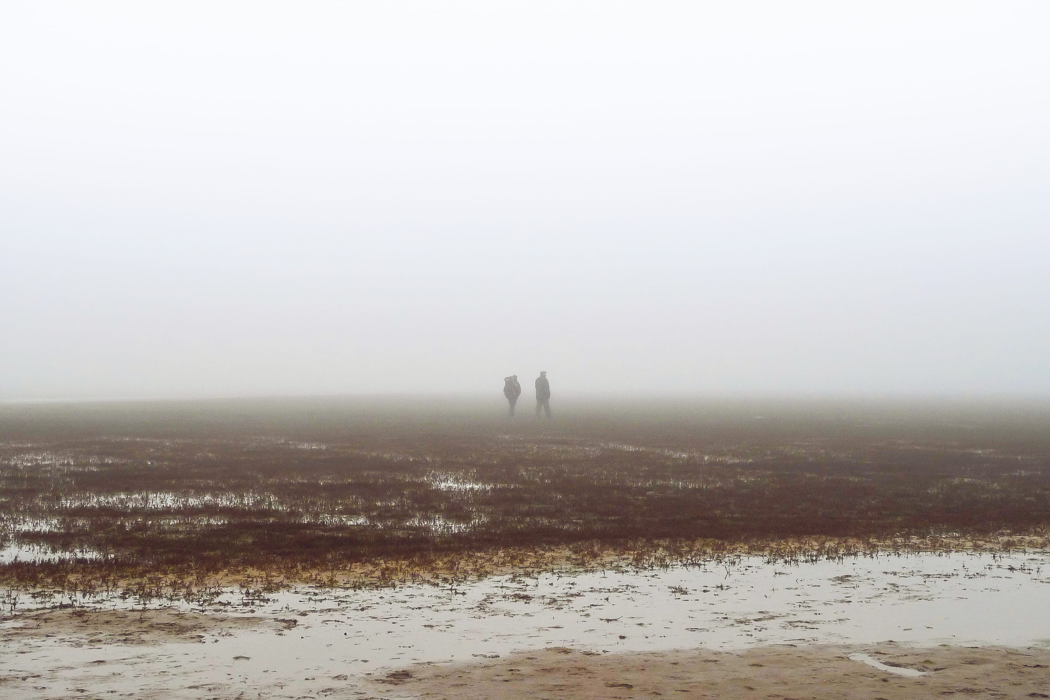 beauty in nature, sky, hazy, non-urban scene, tranquil scene, seashore, water, fog, outdoors, cold temperature, sunset, tranquility, walking, misty, people, HD Wallpaper