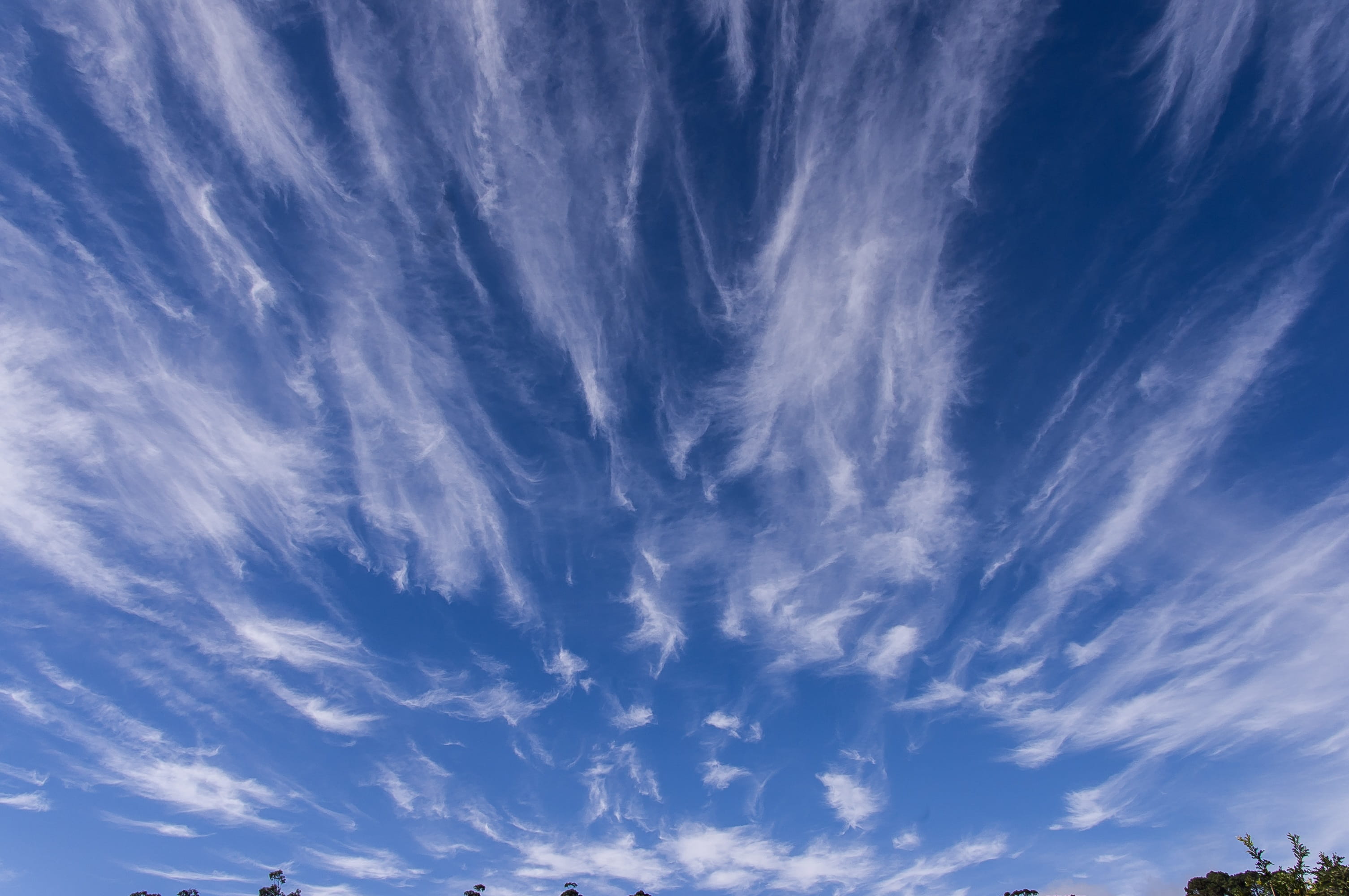 White, australia, Sun Light, radial, environment, moody sky, wind, Blue, day, cirrus, scenics - nature, 2K, Sky, pattern, tranquility, cloudscape, Clouds, HD Wallpaper