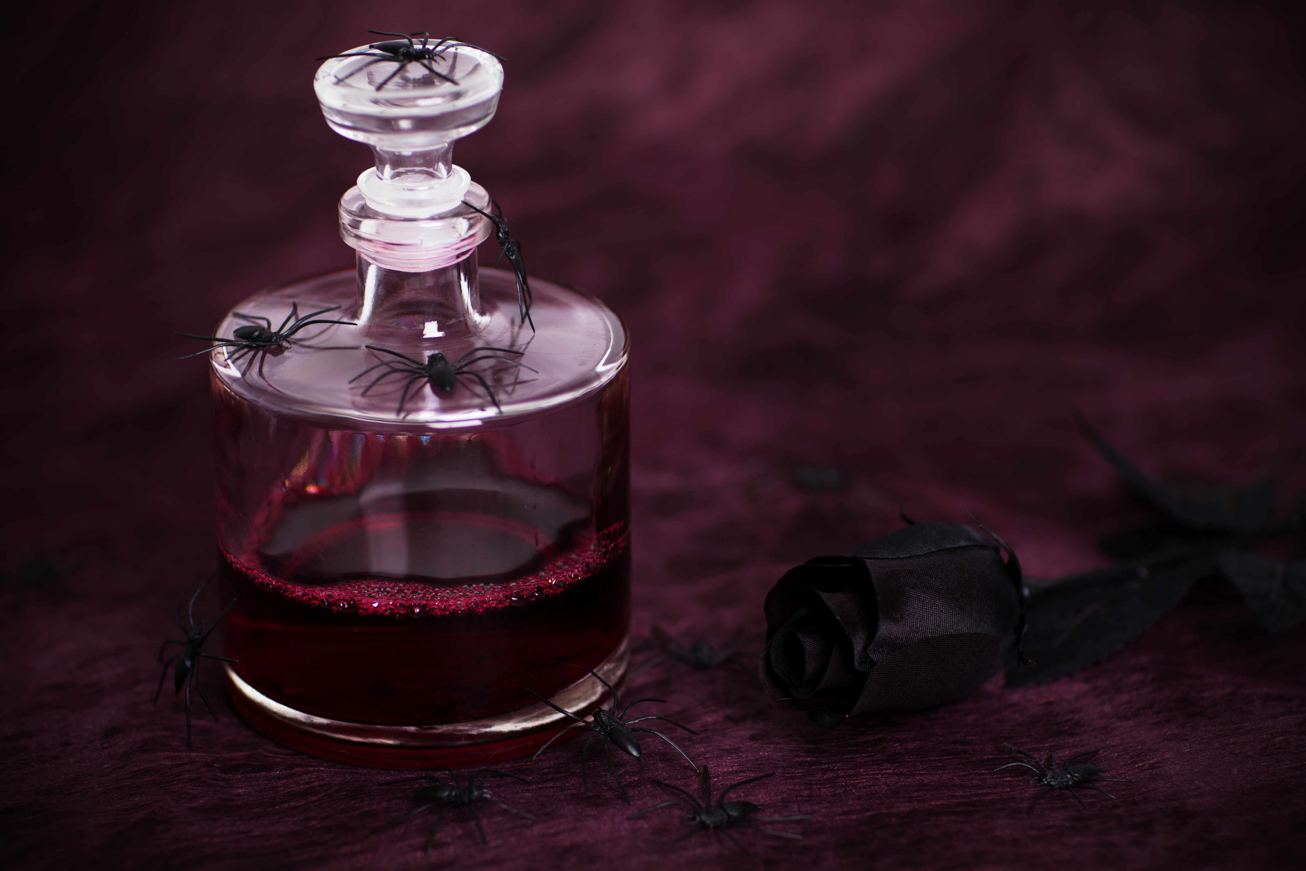 close-up, indoors, decoration, gothic, aromatherapy, halloween, blood, depression, food and drink, wealth, bottle, spooky, evil, spider, scary, insect, HD Wallpaper