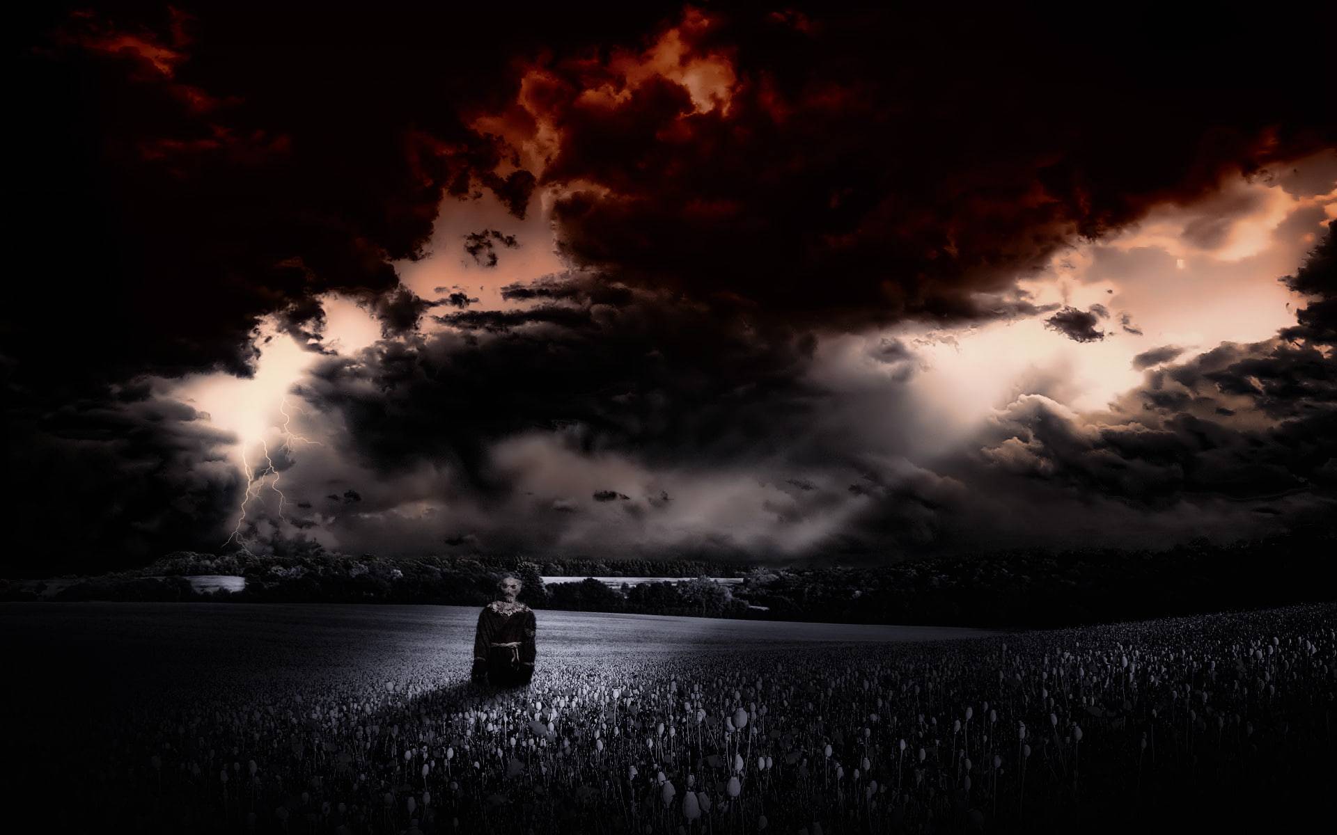 Scarecrow, manipulation, Gothic, spooky, landscapes, Dark, horror, scary, 1080P, art, fields, clouds, creepy, halloween, plants, sky, nature, CG, digital, HD Wallpaper