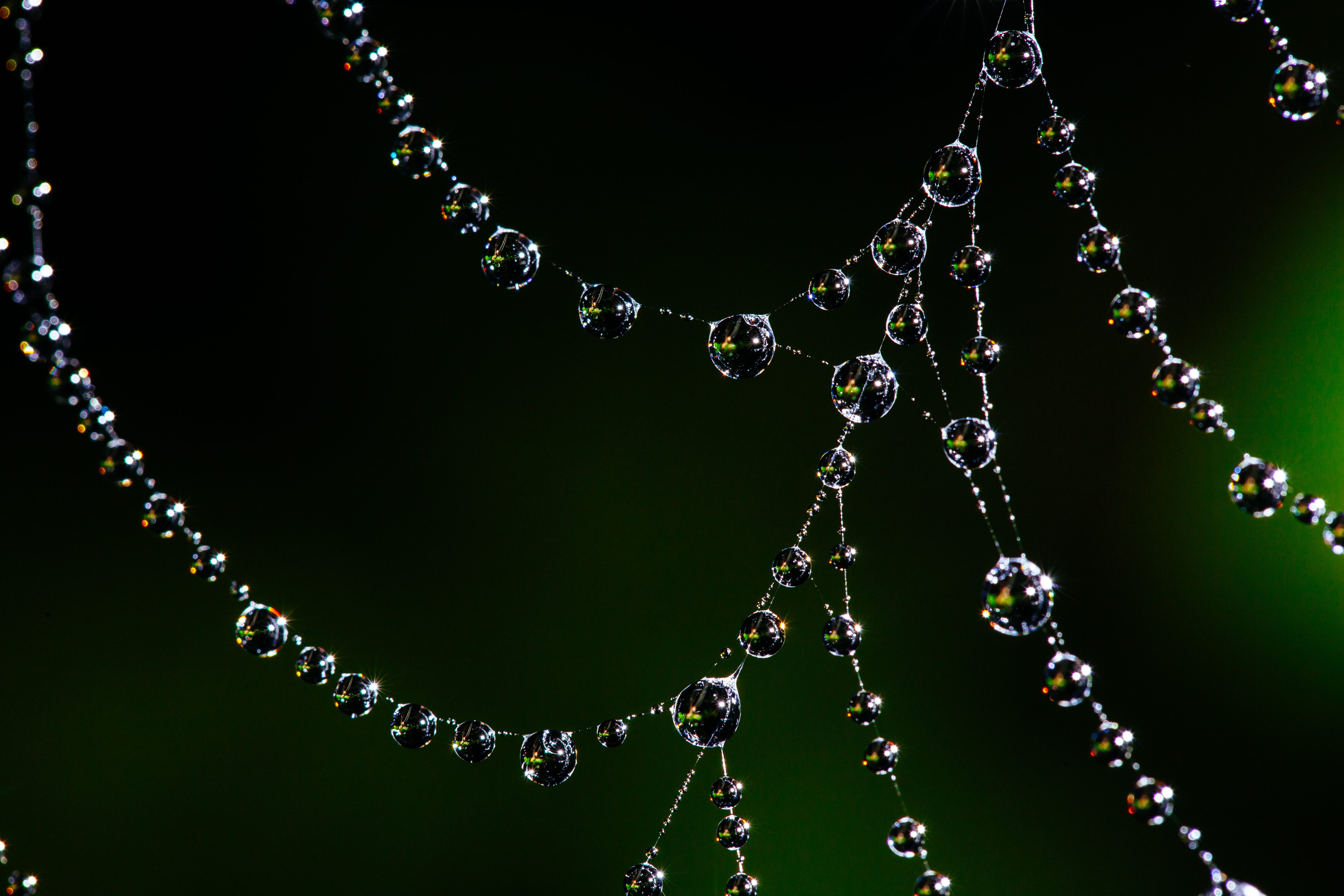 crystal, close-up, outdoors, net, water, trap, purity, pattern, design, environment, studio shot, color, insect, bead, precious gem, spider web, natural, HD Wallpaper