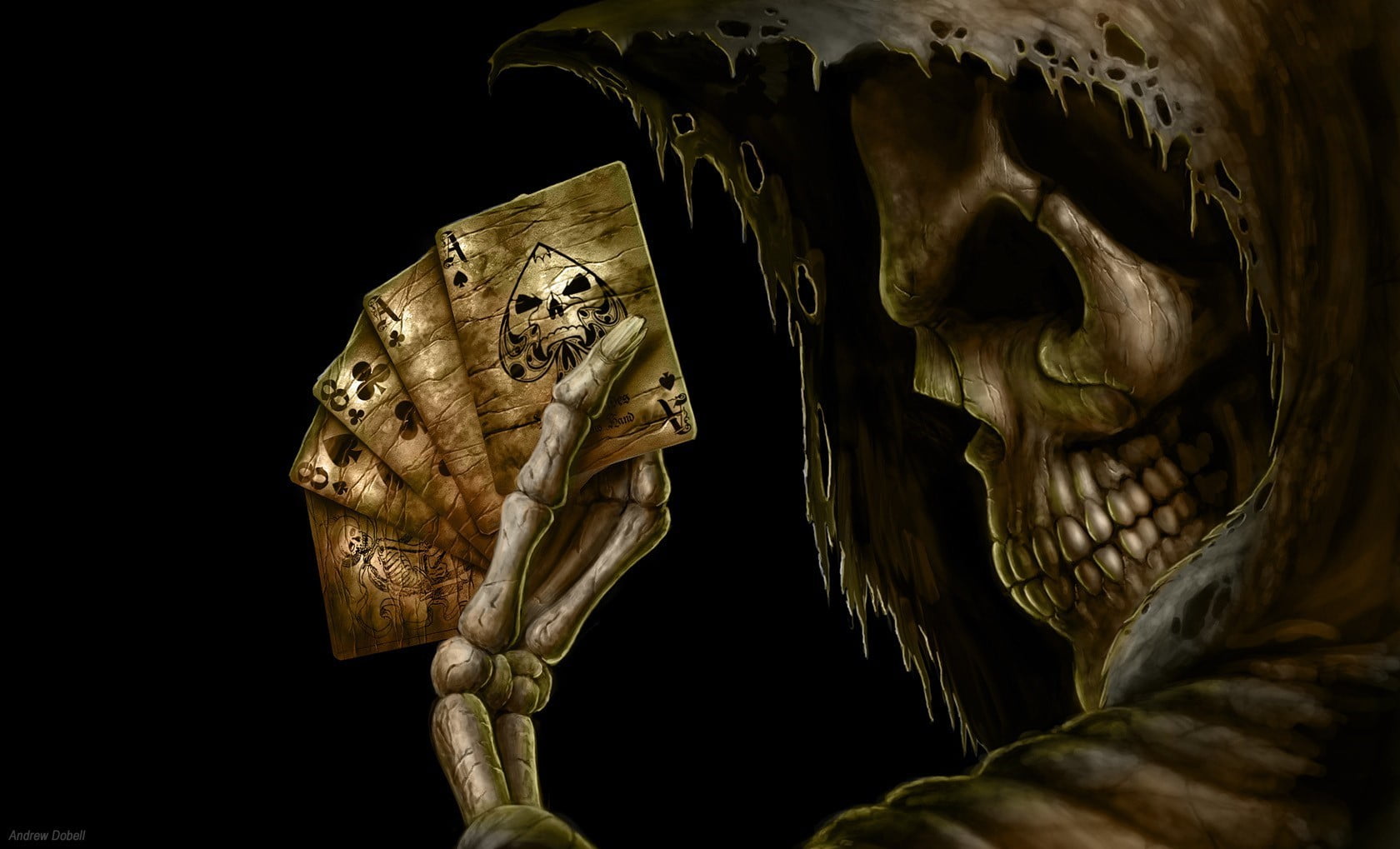 one animal, fantasy art, close-up, skeleton, black background, play, animal, museum, animal wildlife, cards, animal themes, bone, animals in the wild, nature, HD Wallpaper