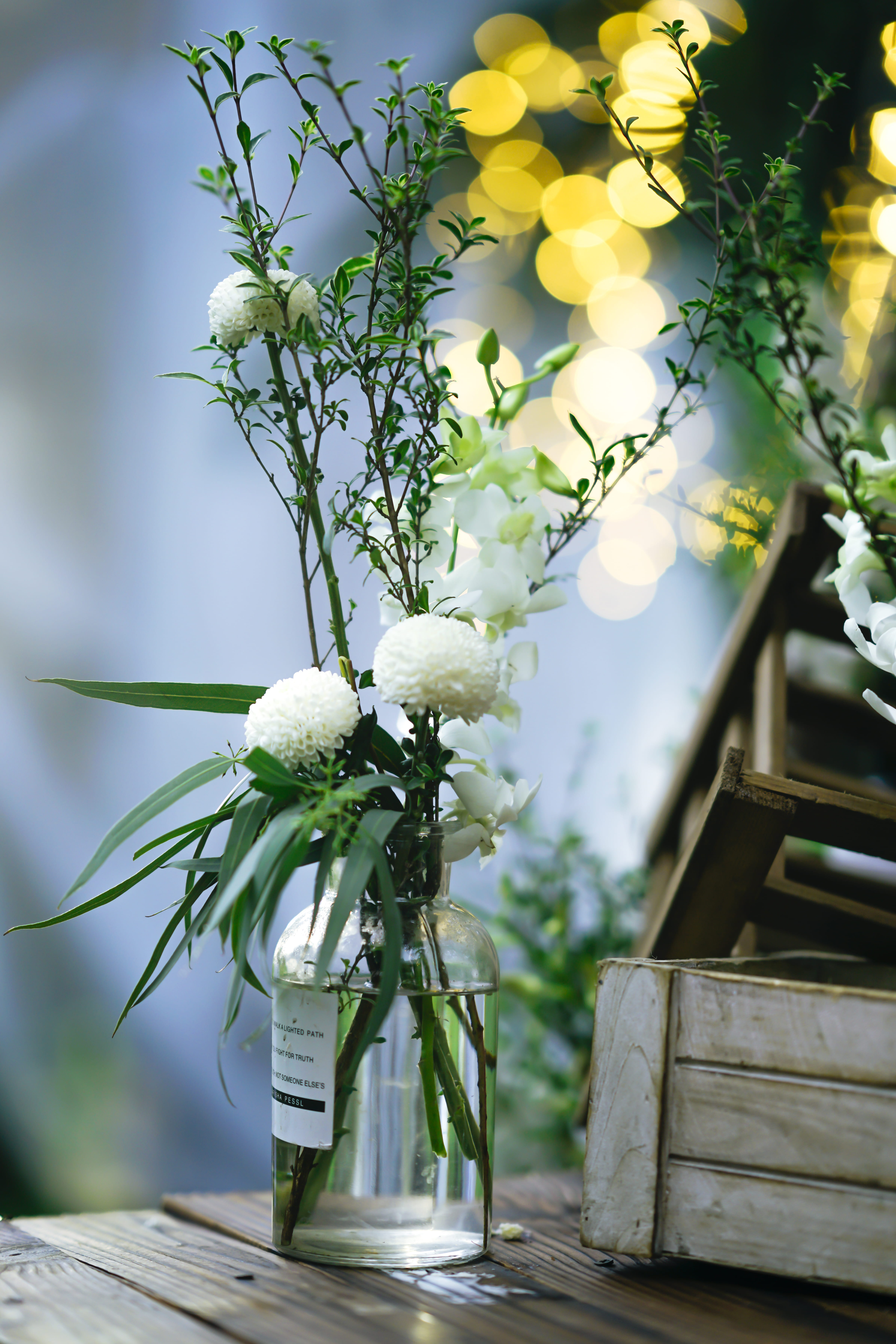 water, white color, no people, petaled, glass, day, petal, leaf, freshness, close-up, table, plant, beautiful, flowers, white, beauty in nature, flower head, Phone HD Wallpaper
