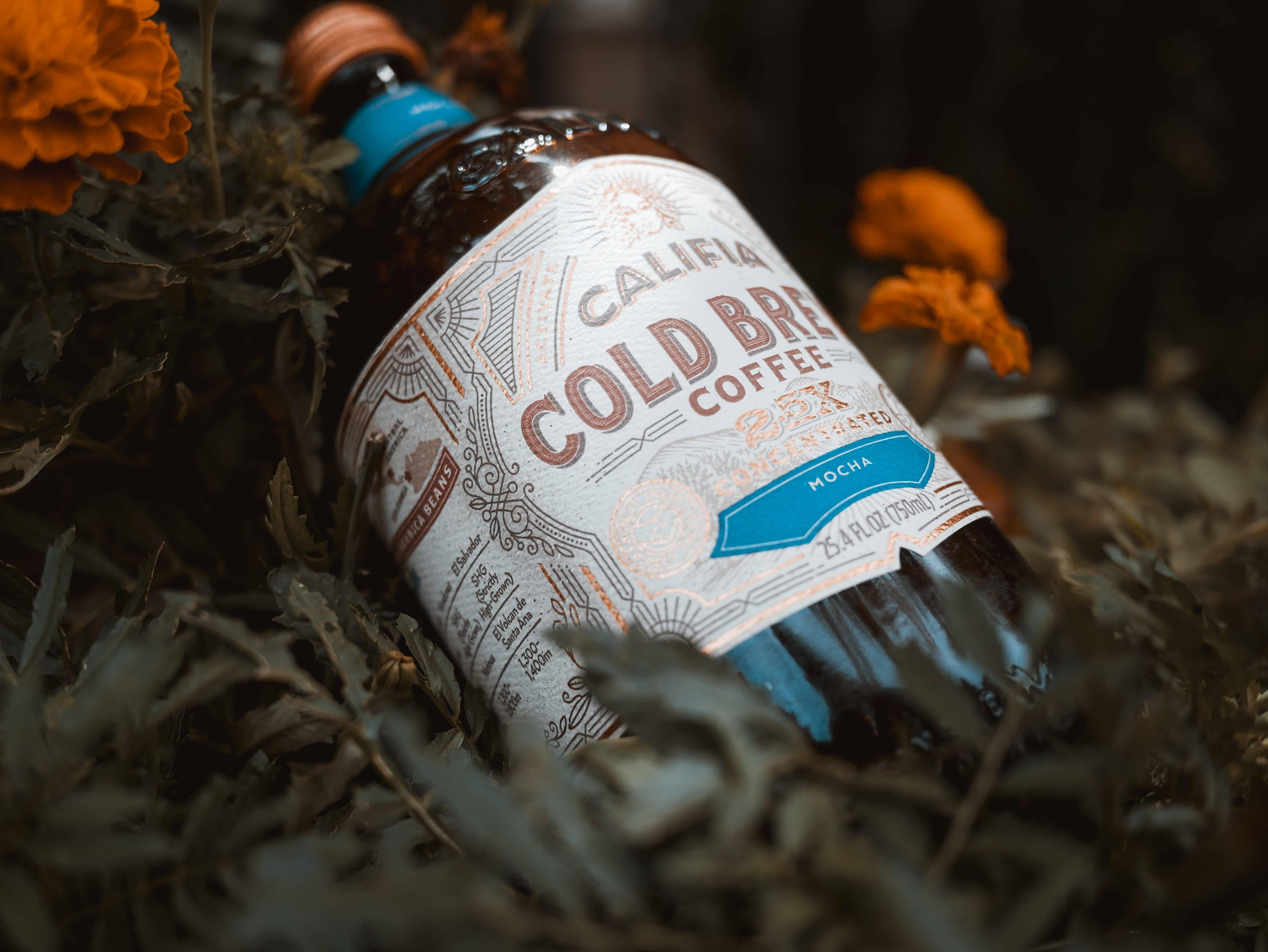 script, celebration, plant, cold, drink, green, number, breeze, clothing, flower, finance, text, 4K, communication, alcohol, currency, coffee, people, HD Wallpaper