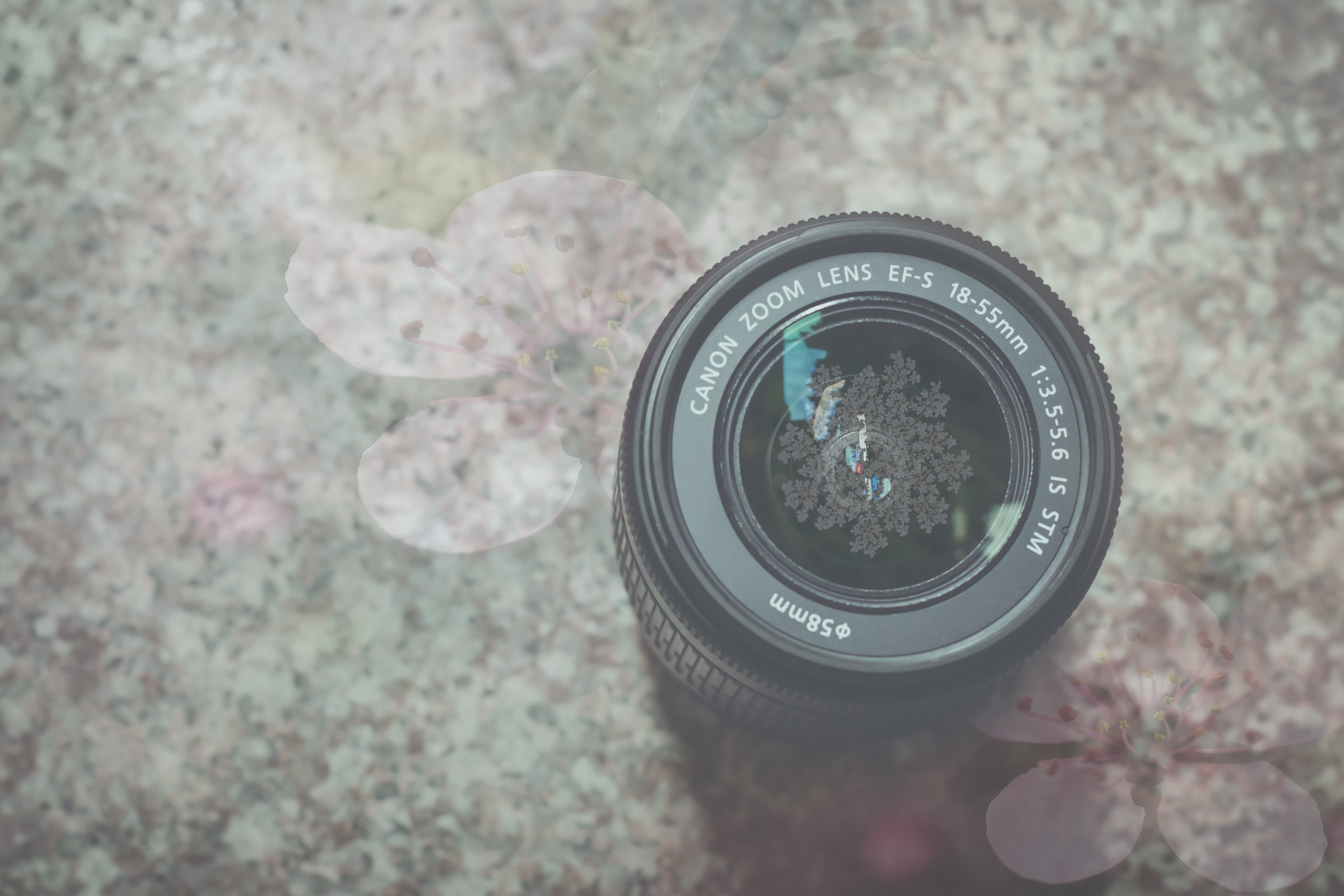 lens, flowers, 5K, zoom lens, HD Wallpaper