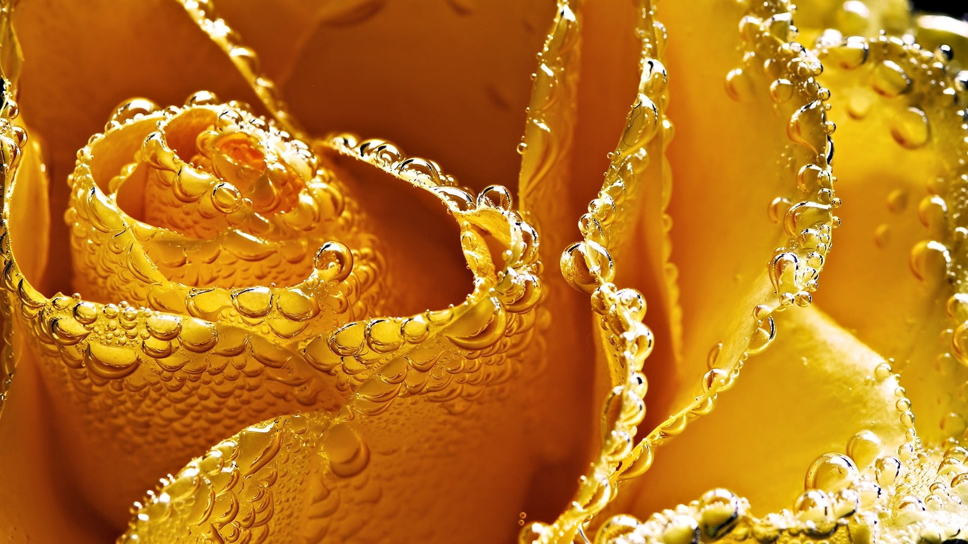 water, pattern, yellow, abstract, textured, splashing, drop, full frame, no People, drops, indoors, bubble, nature, 1080P, flower, gold Colored, close-up, HD Wallpaper