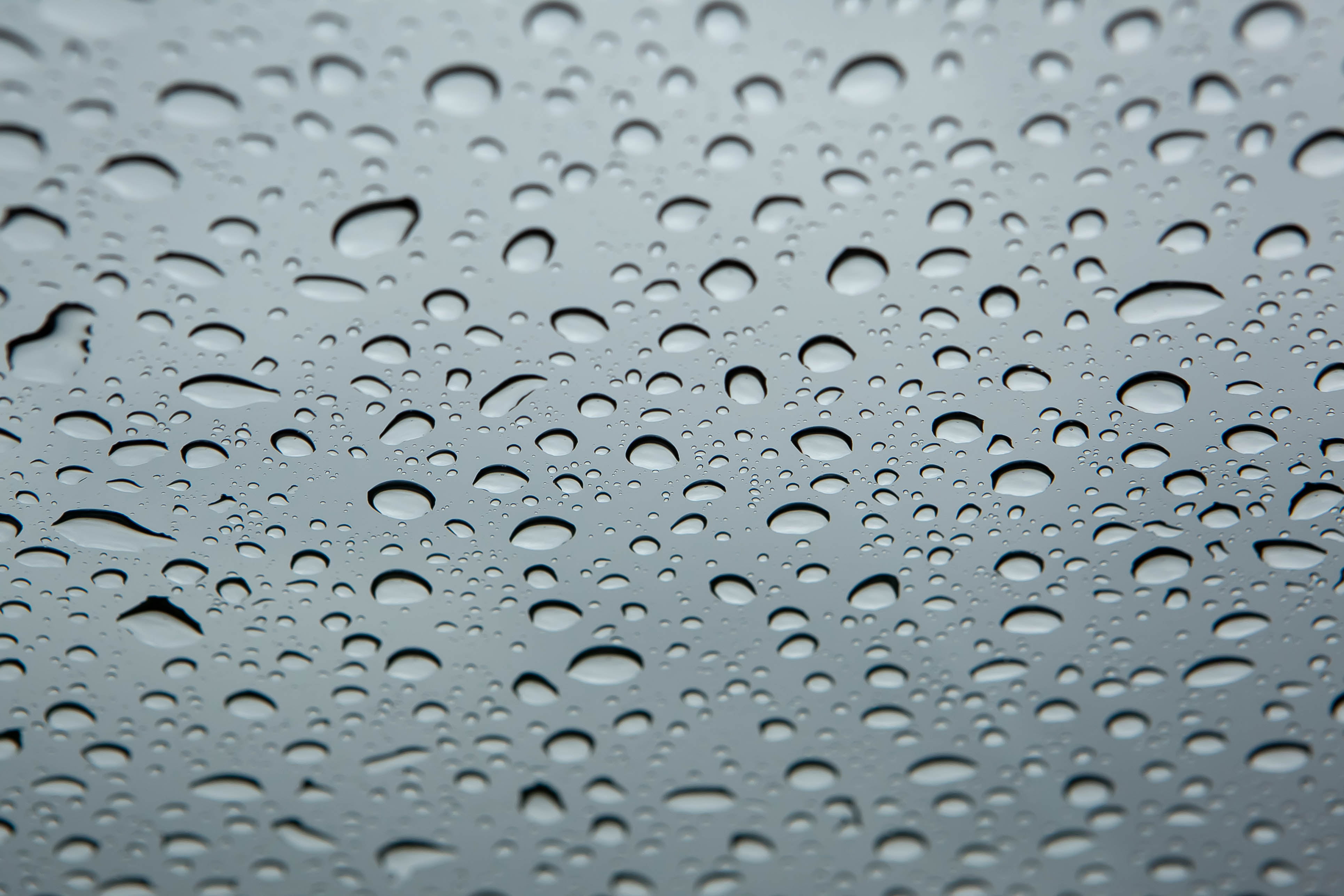 surface, nature, purity, drops, window, raindrop, no people, indoors, moisture, drop, day, rainy season, rain, glass - material, wet, glass, full frame, HD Wallpaper