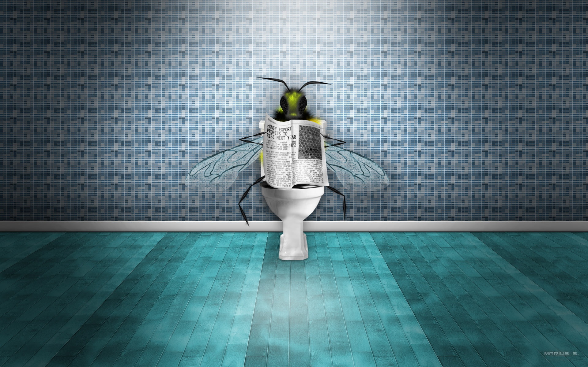 1080P, Reading, Newspaper, Toilet, Flies, HD Wallpaper