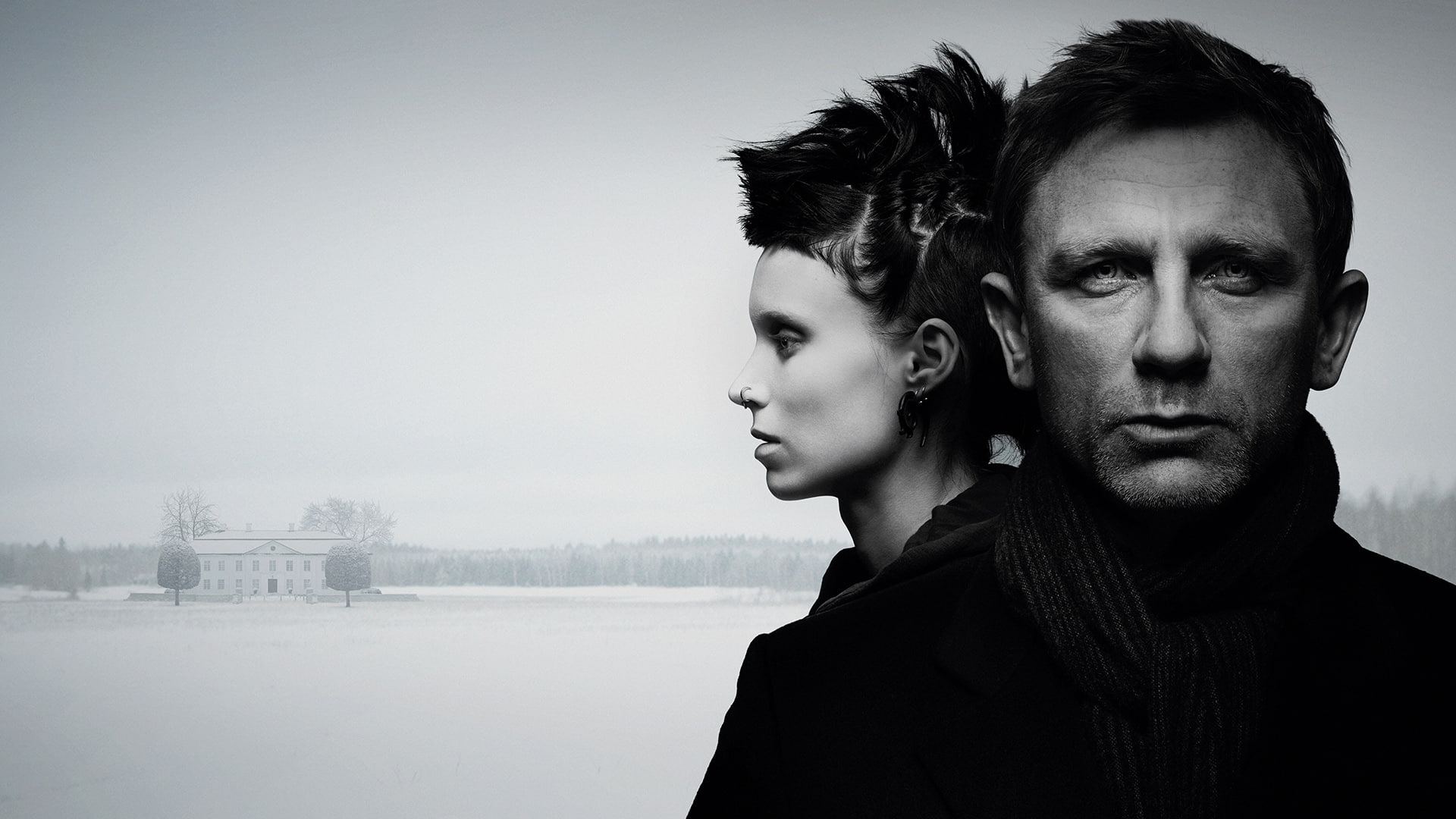 1080P, sci-fi, hornets, tattoo, 1gwpwf, poster, crime, series, mystery, fantasy, millenium, nest, girl, thriller, dragon, drama, HD Wallpaper
