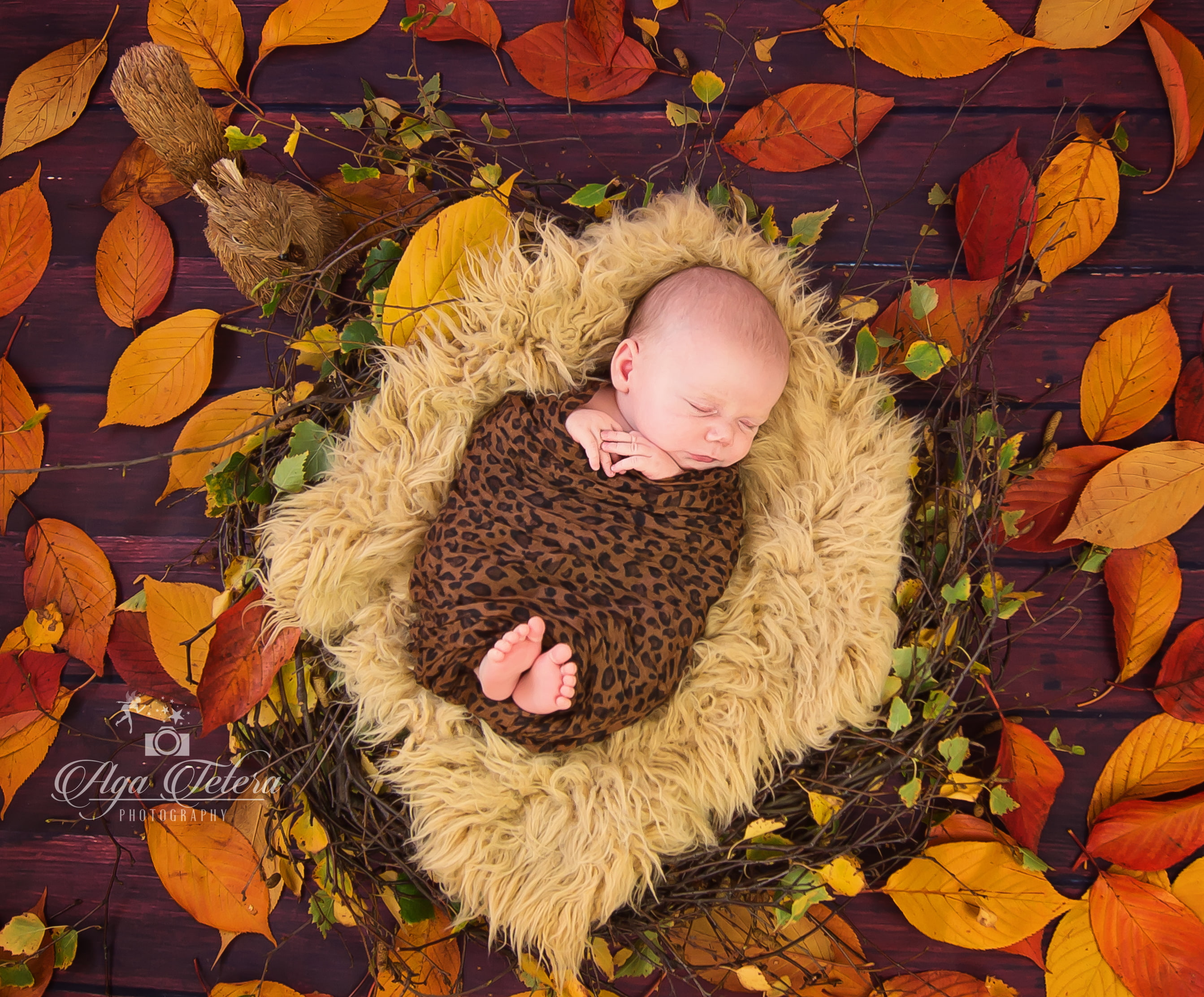 Sleeping baby, 2K, Autumn leaves, Cute baby, Fur nest, HD Wallpaper