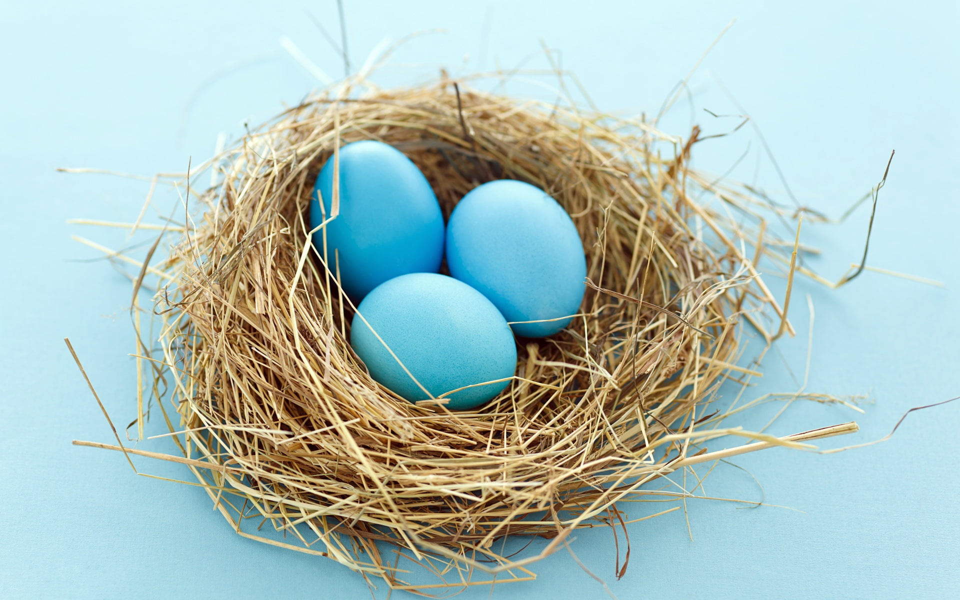 Easter, Nest, Egg, 1080P, HD Wallpaper