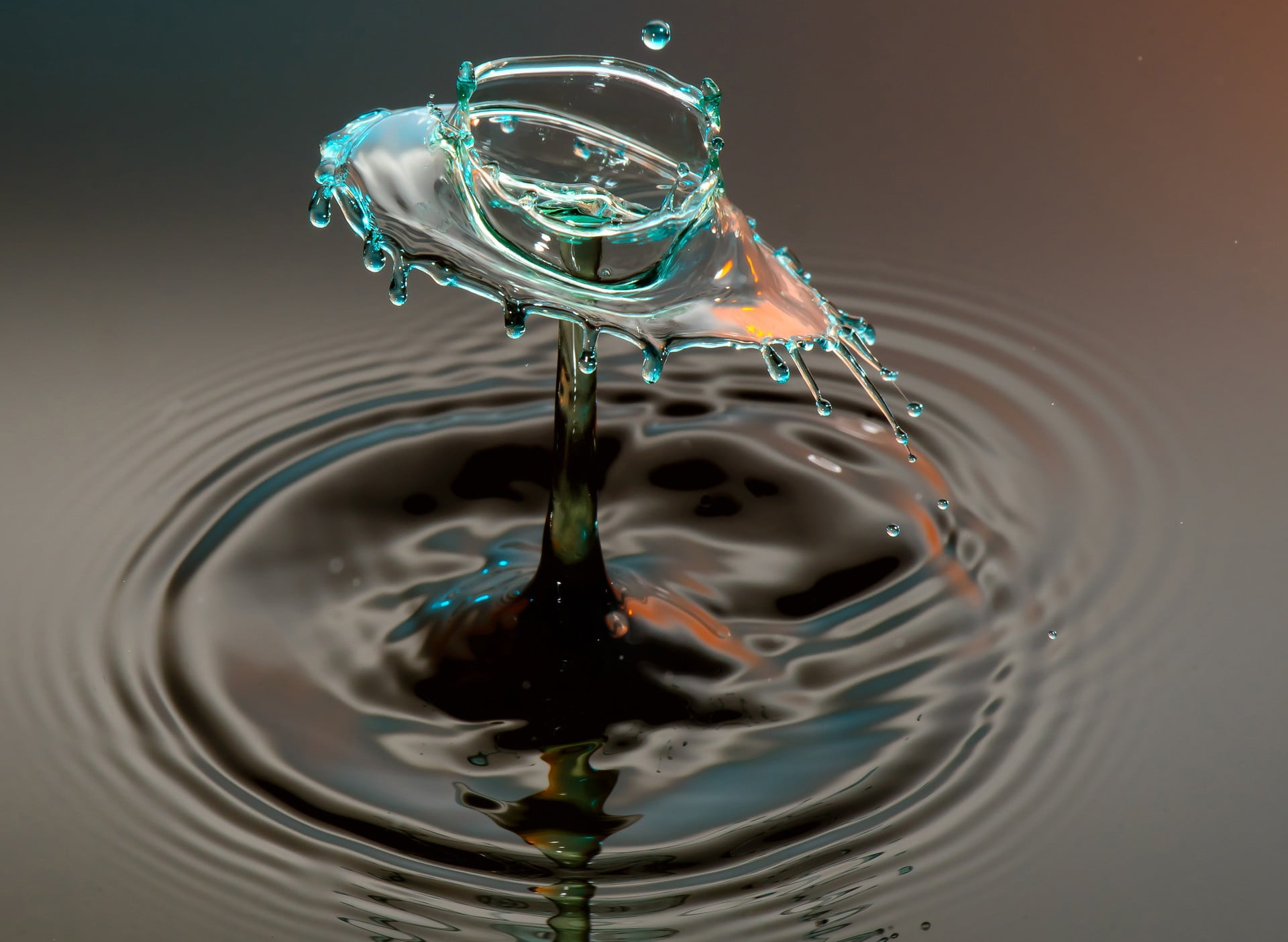 motion, close-up, illustration, waterfront, black background, multi colored, water drops, water, macro, impact, rippled, studio shot, water surface, high-speed photography, HD Wallpaper