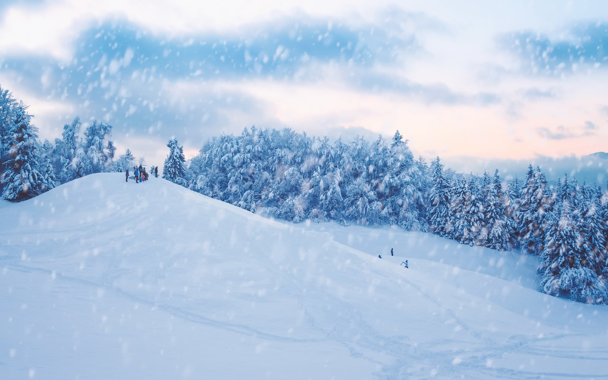 field, tree, tranquil scene, covering, sport, landscape, colored, nature, snowcapped mountain, day, leisure activity, white color, winter sport, 1080P, HD Wallpaper