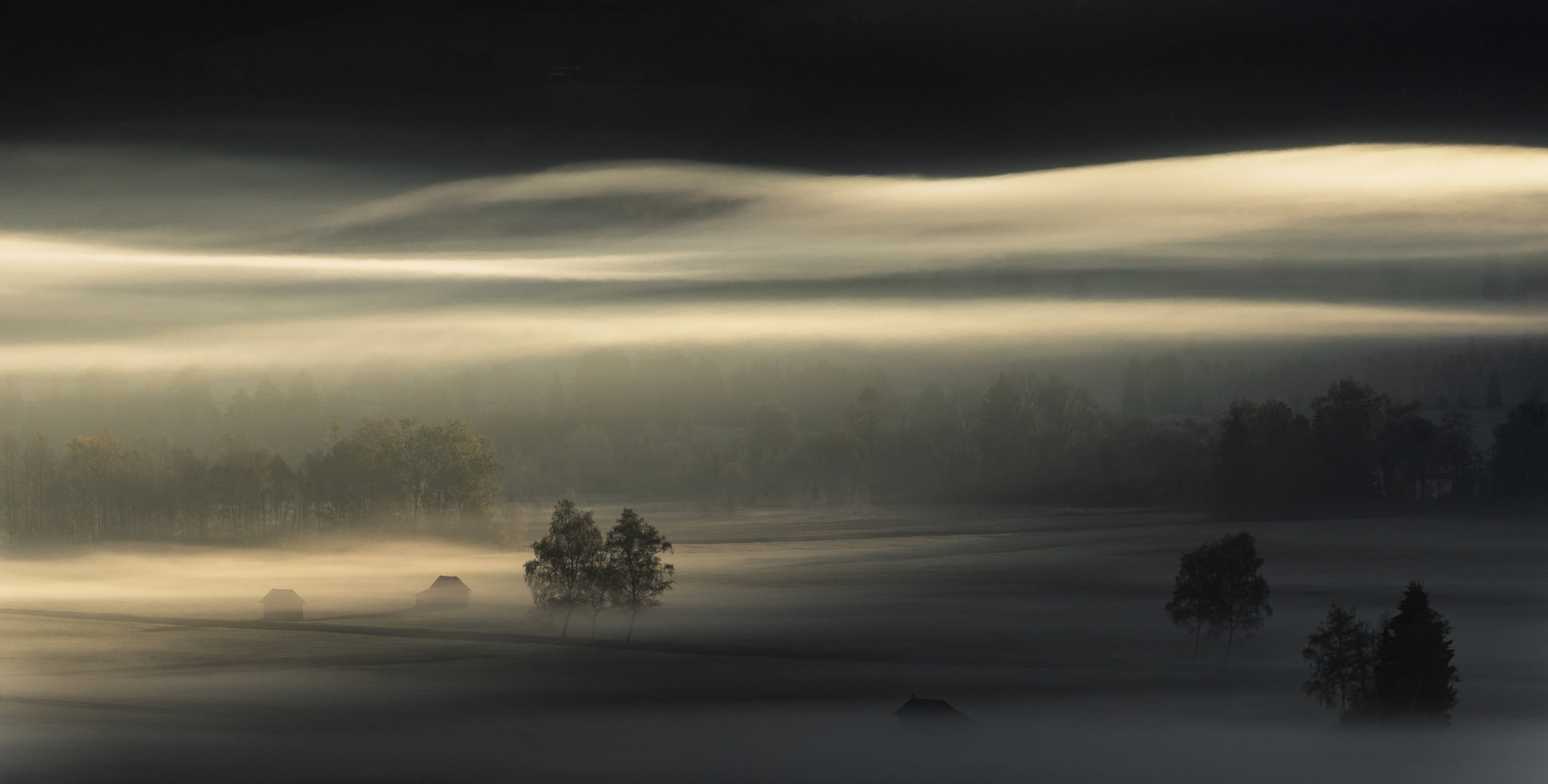 trees, winter, cloud - sky, landscape, field, sunlight, tranquil scene, plant, fog, ring, environment, diamond, 1080P, photography, hazy, mist, land, silver, HD Wallpaper