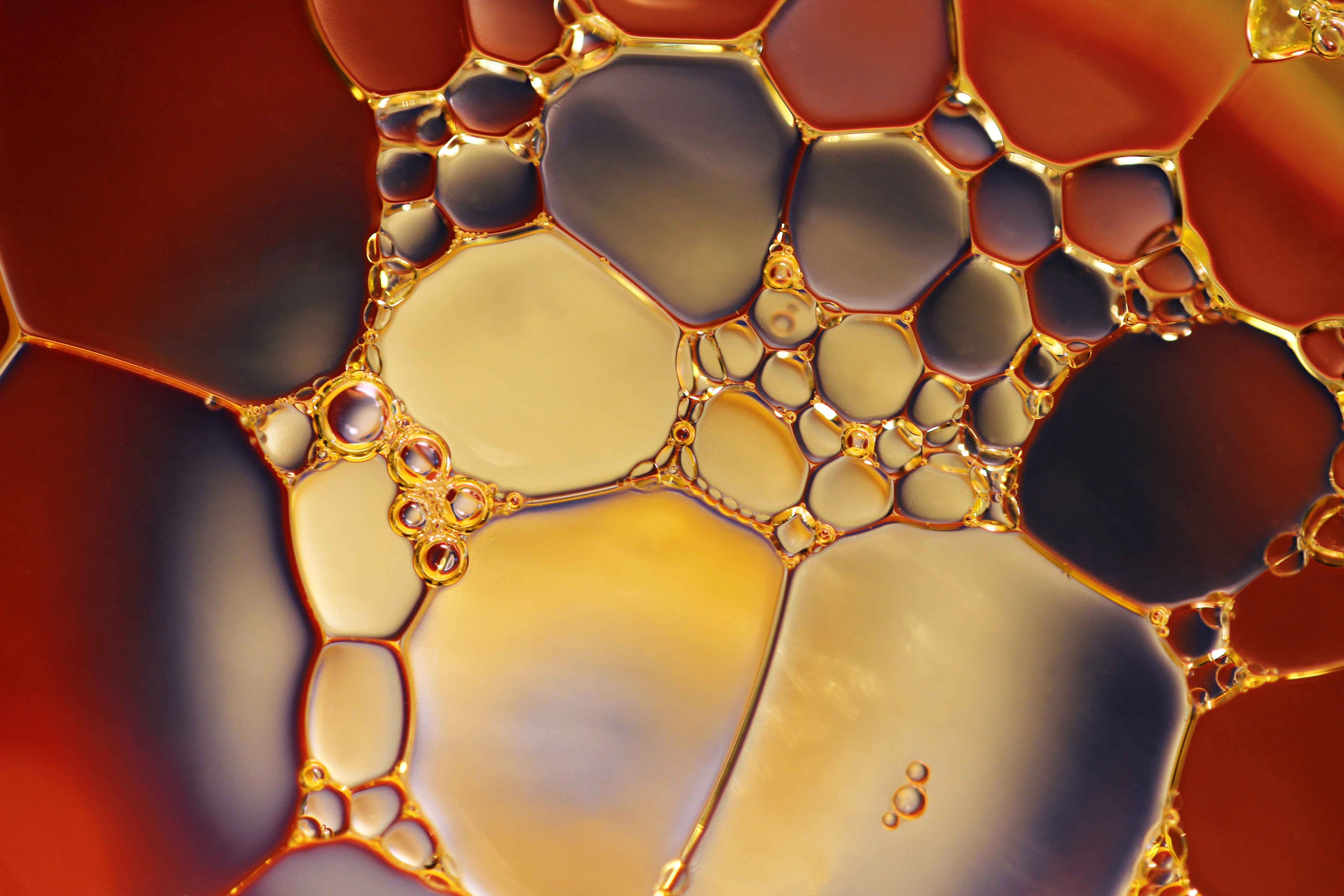 research, extreme close-up, red, network, color, molecular structure, blue, modern, studio shot, abstract, illustration, science, craft, nature, pattern, HD Wallpaper