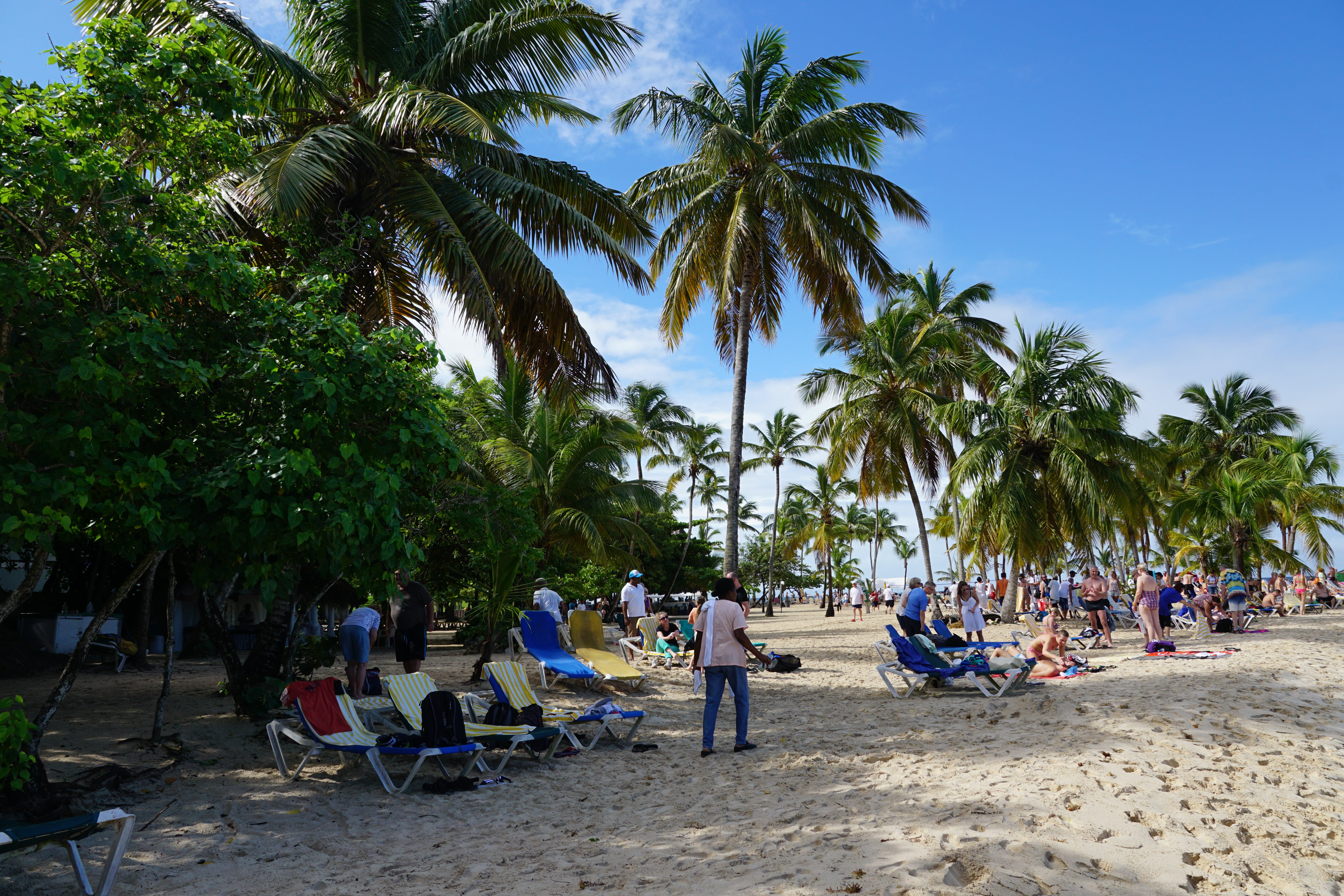 vacations, holiday, group of people, palm tree, crowd, beach, large group of people, sand, nature, plant, levantado, land, outdoors, tree, chair, trip, HD Wallpaper