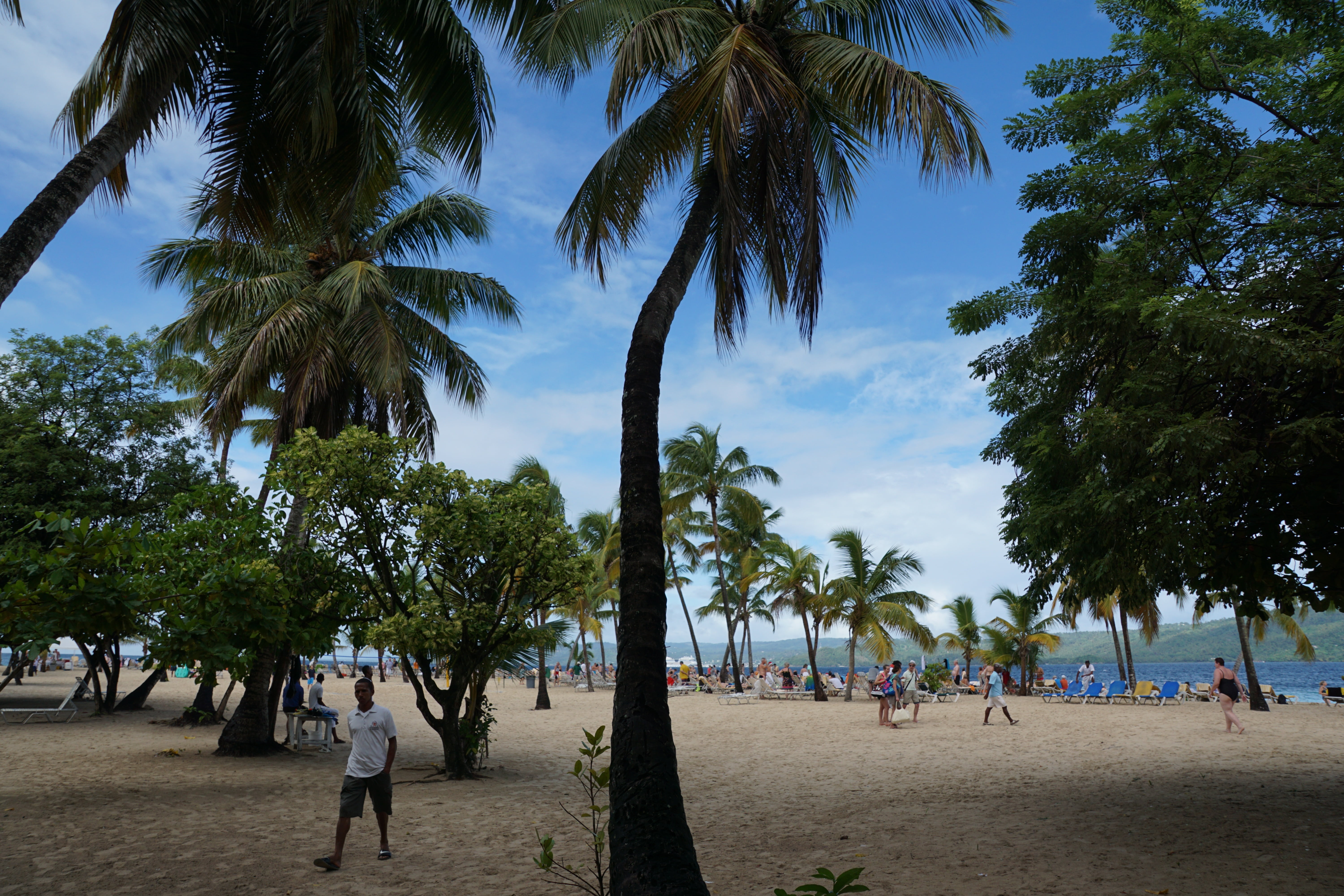 bacardi island, trip, men, beach, leisure activity, group of people, nature, crowd, growth, real people, large group of people, palm trees, holiday, women, HD Wallpaper