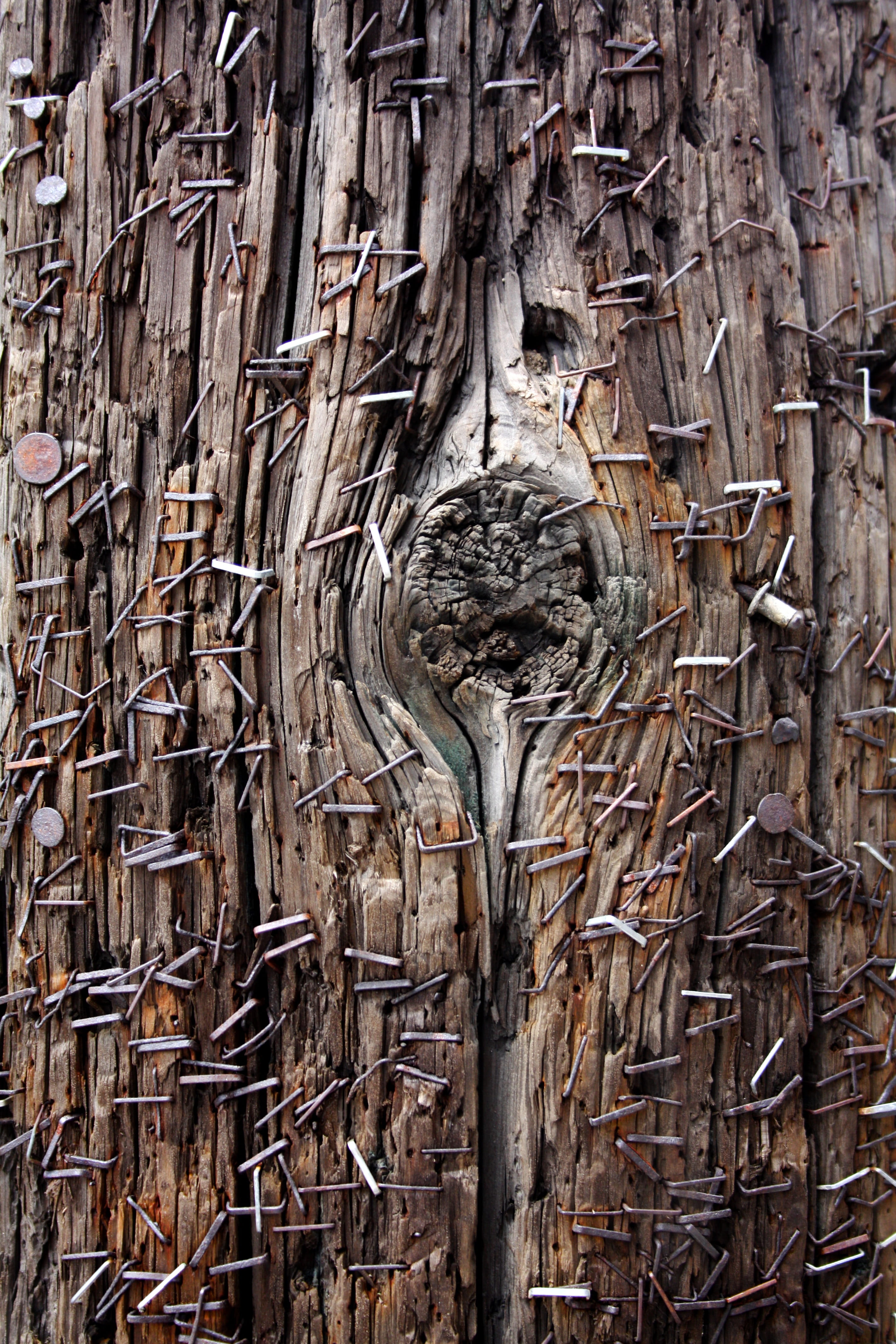 staples, carving - craft product, art and craft, the past, outdoors, pattern, architecture, wood, sculpture, city, tree, texture, tack, old, tortured, history, Phone HD Wallpaper