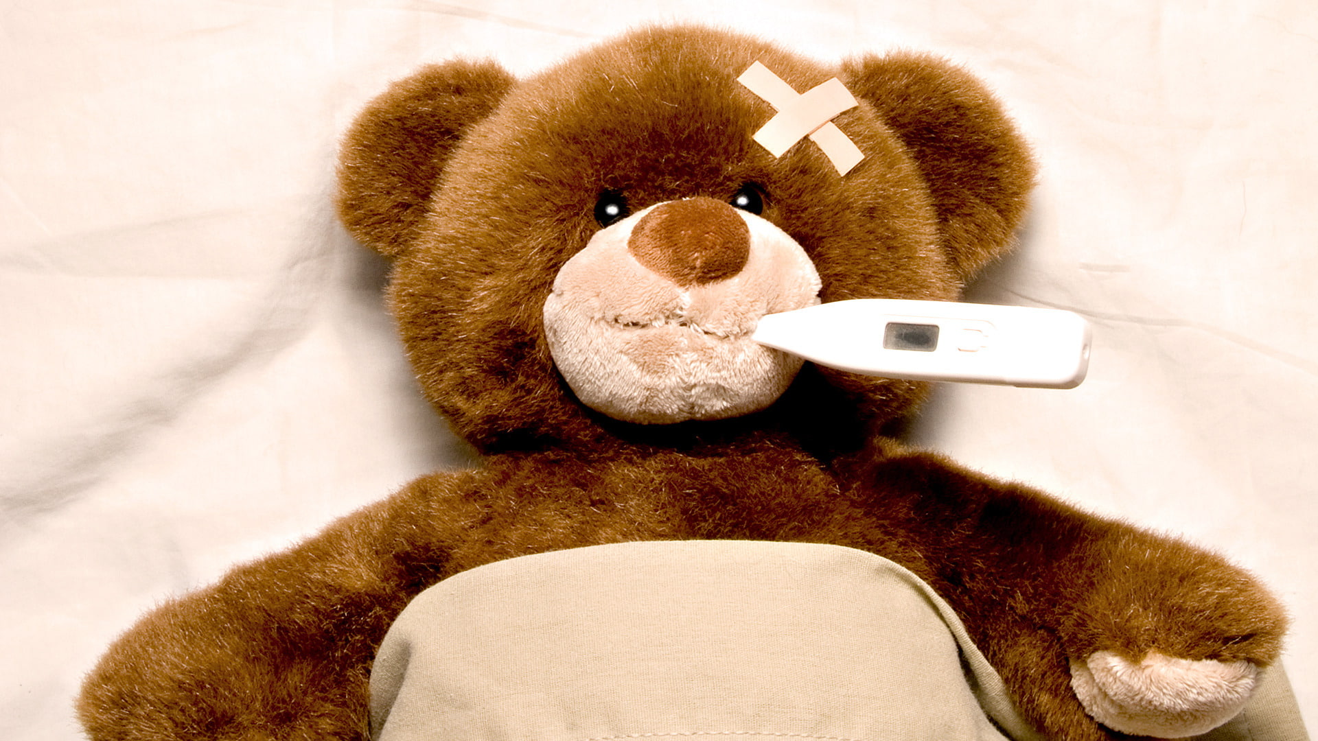 indoors, bear, teddy bear, bed, obscured face, childhood, adult, brown, lying down, one person, plush, toy, high angle view, technology, temperature, mammal, HD Wallpaper