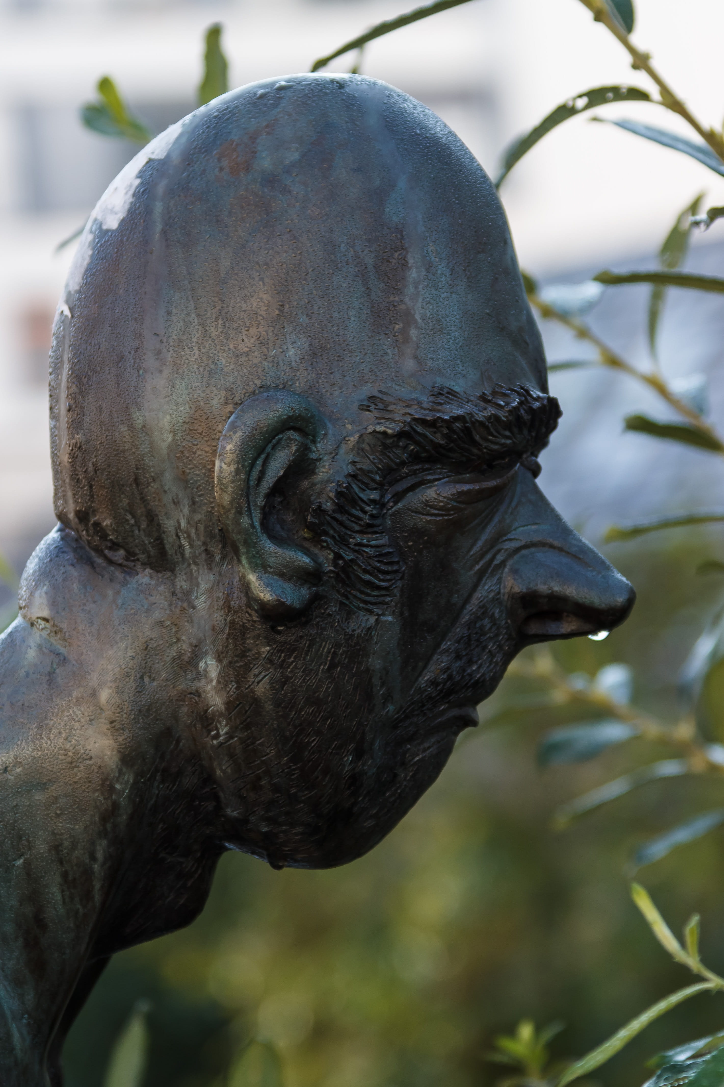 Head, Nose, 4K, mammal, day, get well soon, nature, outdoors, heal, sculpture, focus on foreground, doctor, Ill, animal body part, creativity, sniff, Cold, Phone HD Wallpaper