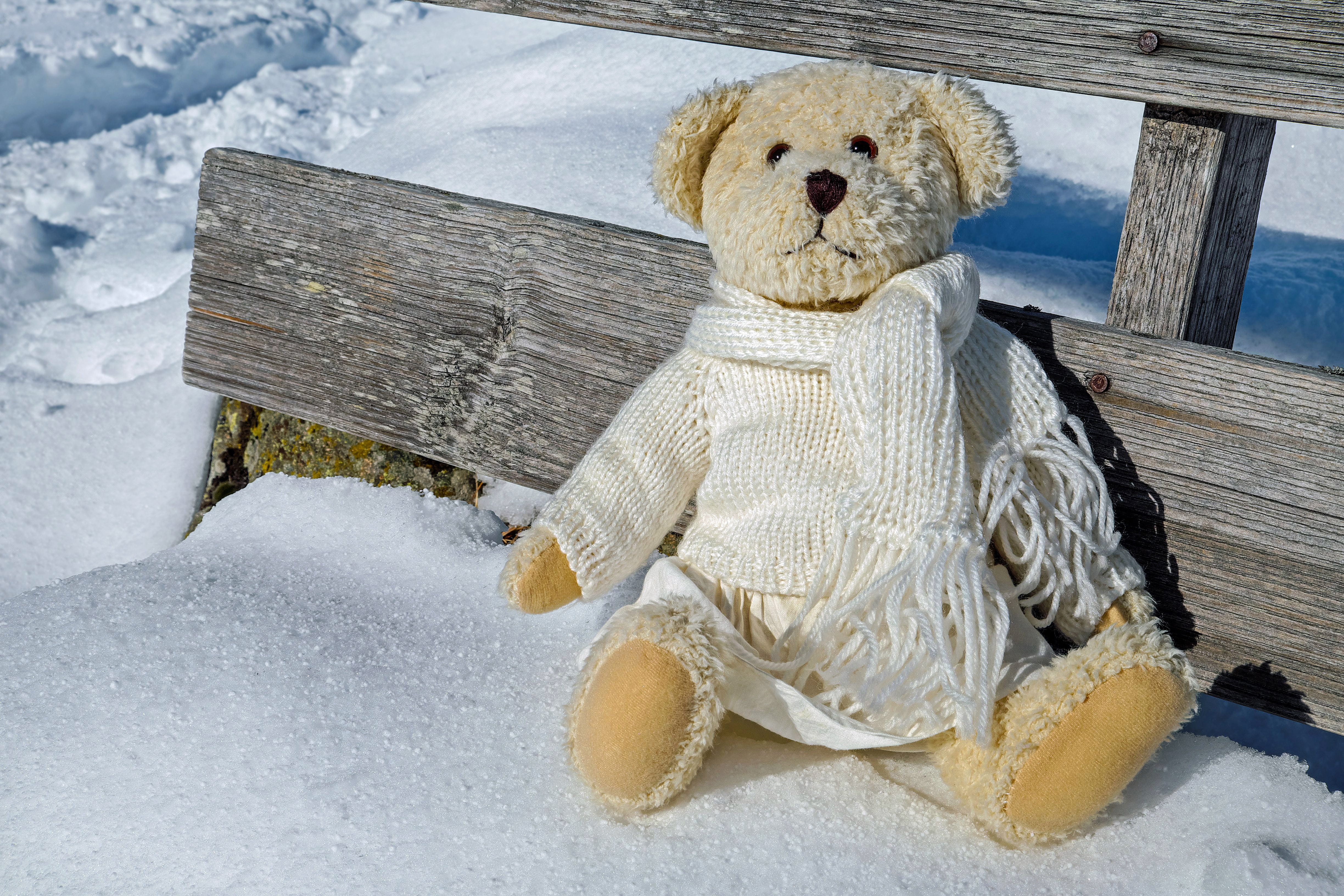 bears, close-up, no people, outdoors, teddy, verschneiter, human representation, toy, abandoned, extreme weather, daytime, sun, 4K, covered, childhood, HD Wallpaper