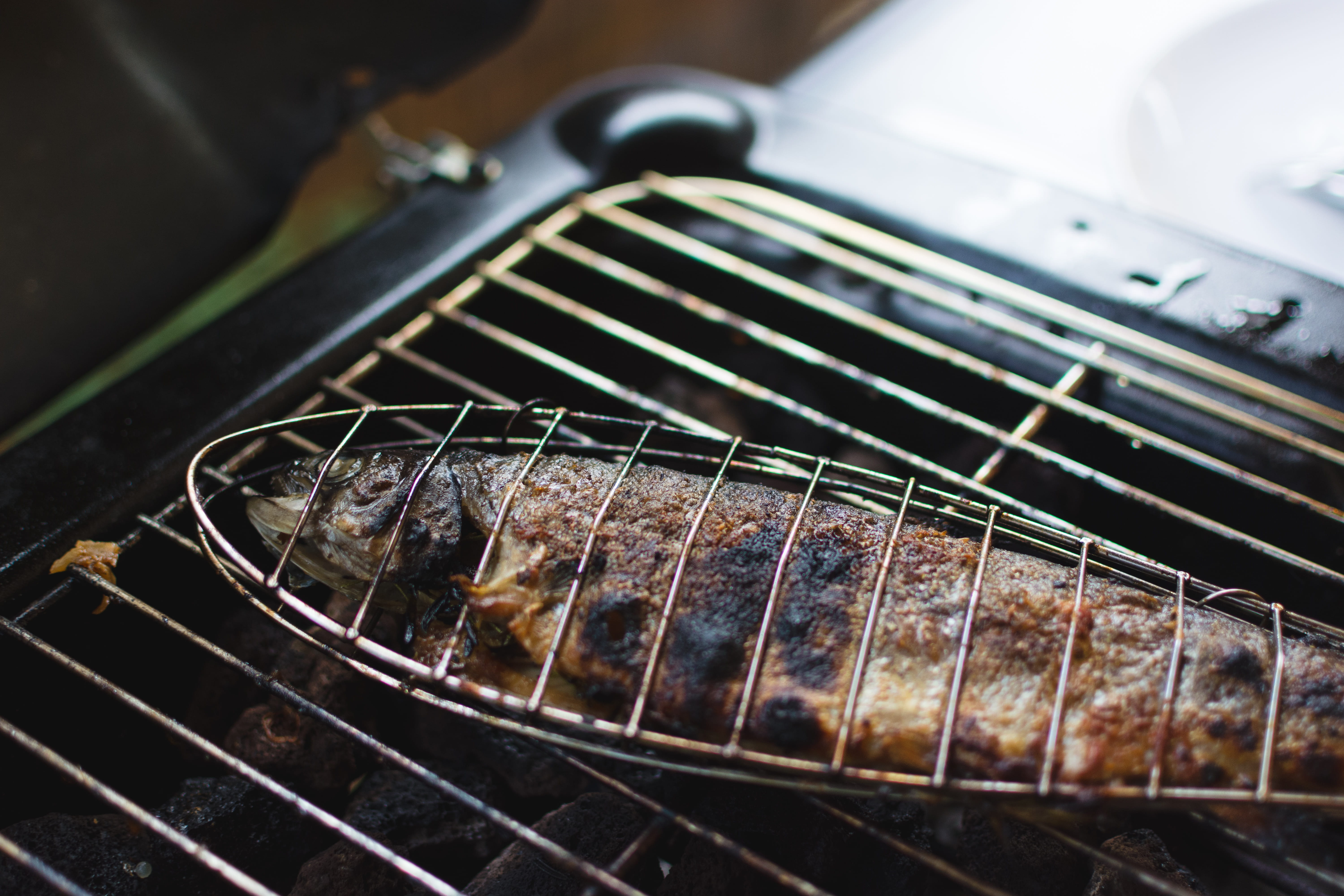 Grilled, close-up, heat - Temperature, barbecue Grill, food, indoors, steak, preparation, fish, freshness, high angle view, no people, string instrument, HD Wallpaper