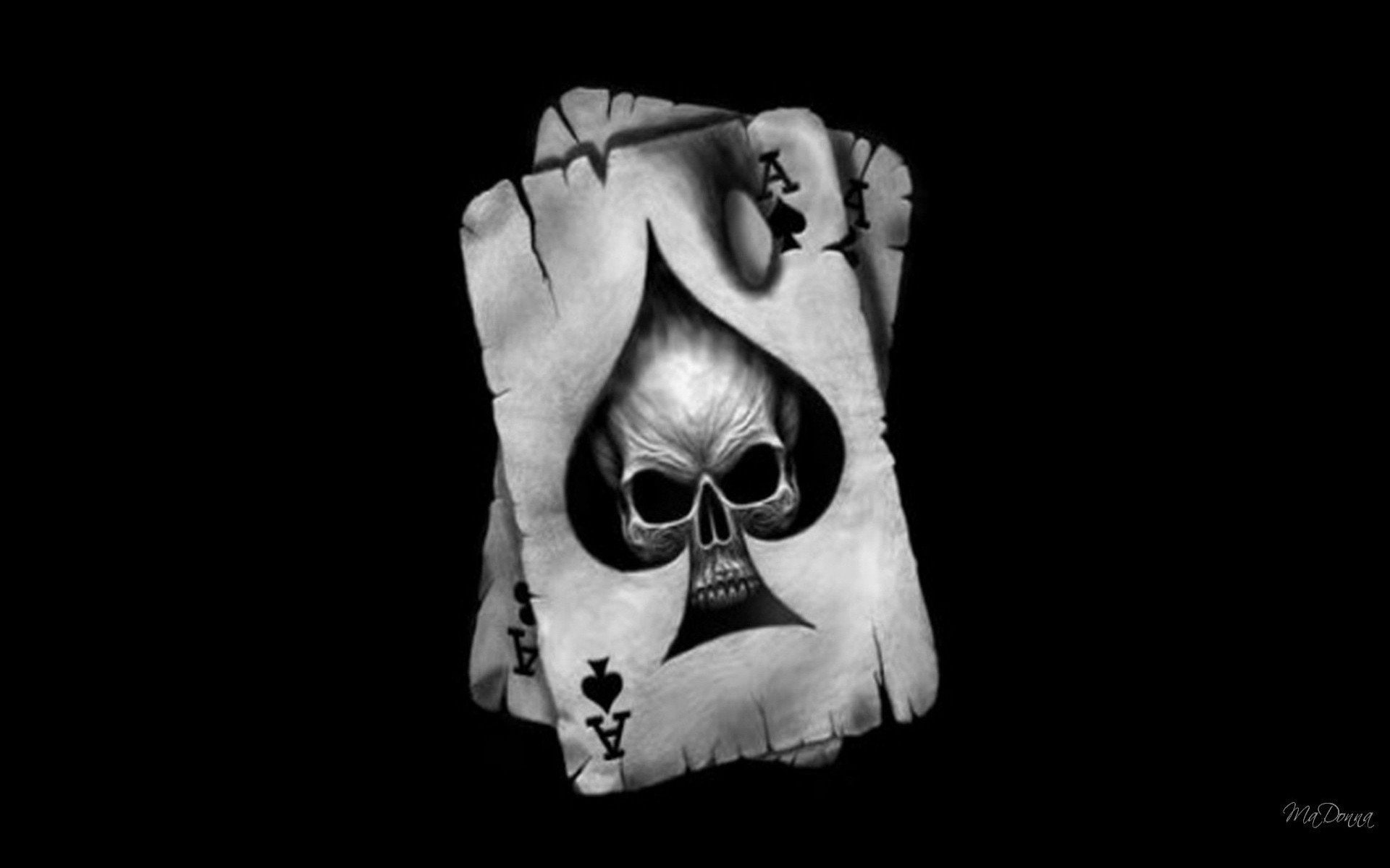 1080P, skull heverilson, HD Wallpaper