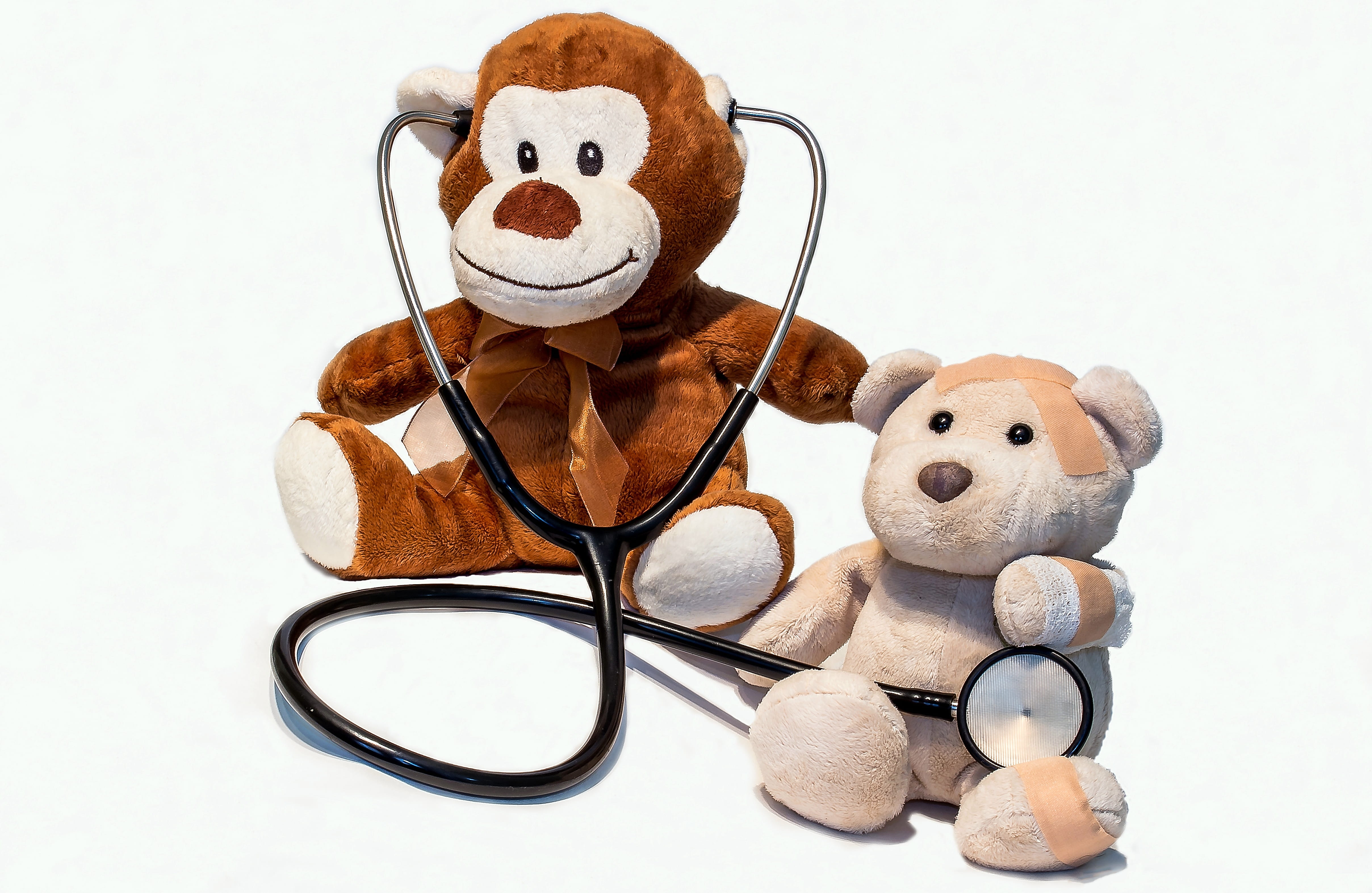 injured, beside, brown, wearing, bear, toy, human representation, cup, monkey, teddy bears, cut out, children toys, white background, fun, sitting, stethoscope, HD Wallpaper