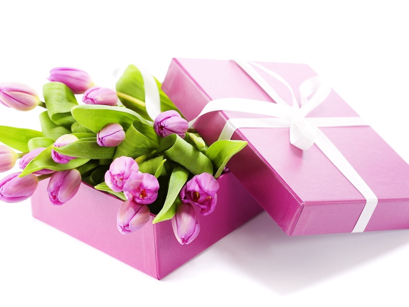 birthday, gift Box, white, wrapping Paper, bow, ribbon - sewing item, red, still life, love, decoration, anniversary, 720P, pink Color, tulips, studio shot, HD Wallpaper