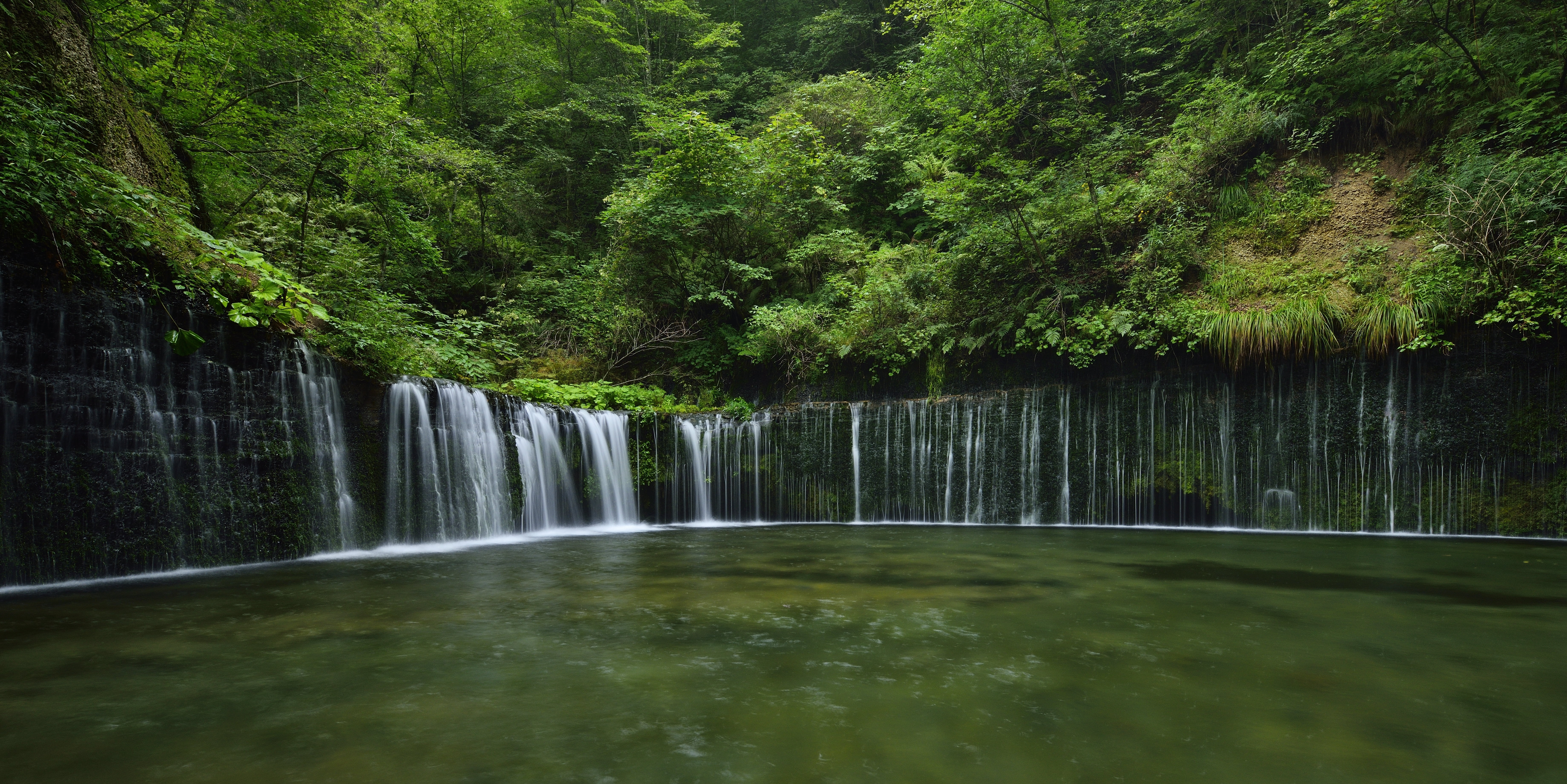 motion, power in nature, foliage, (White Thread), green color, flowing, land, the Shiraito falls, rainforest, lake, falling water, no people, forest, Nagano, HD Wallpaper