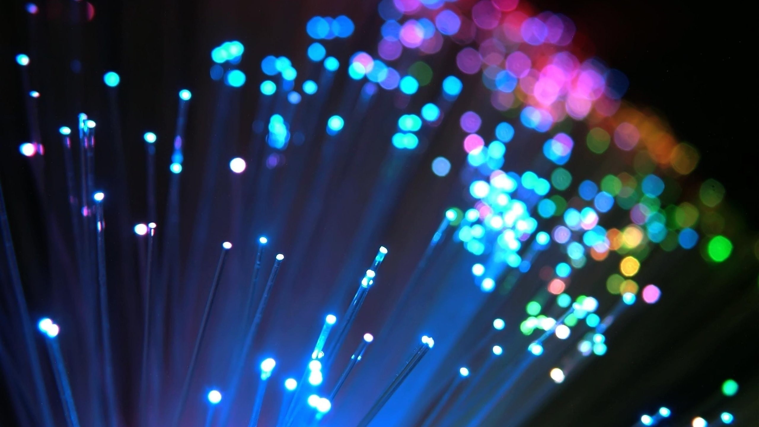 macro, lights, bokeh, 2K, colorful, Optic fiber, HD Wallpaper
