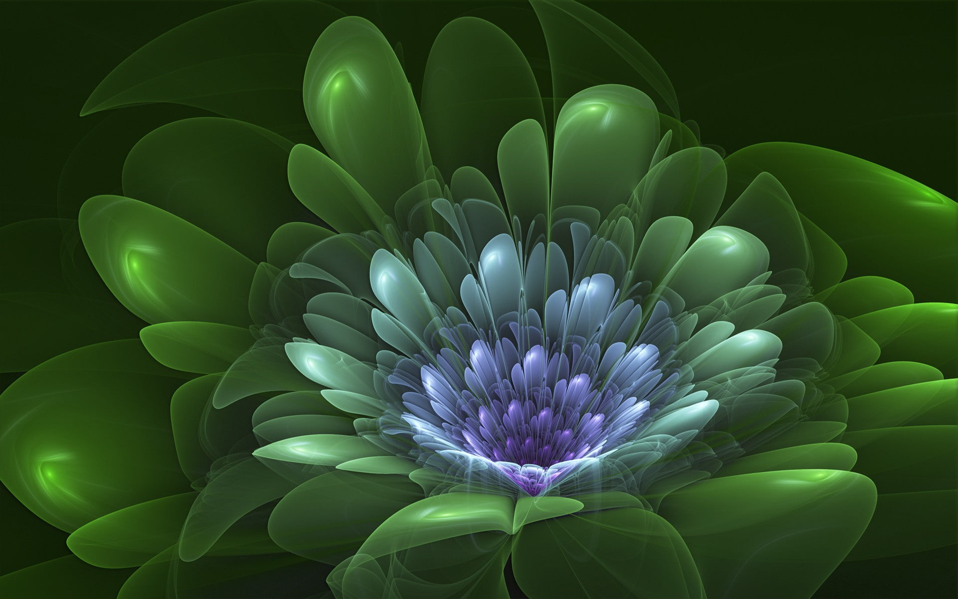 digital art, fractal flowers, fractal, 1080P, HD Wallpaper
