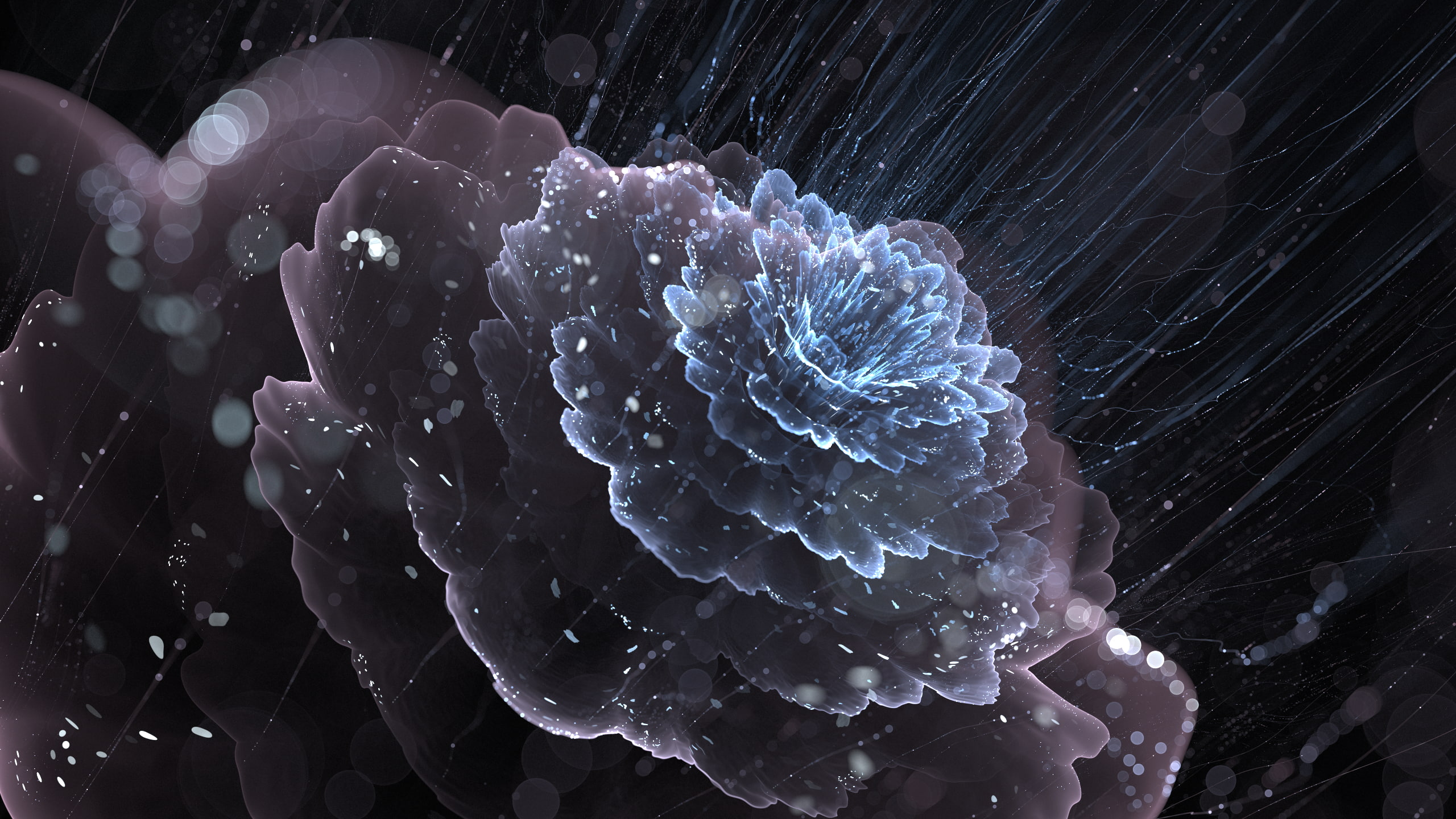 digital art, fractal, 2K, abstract, fractal flowers, HD Wallpaper
