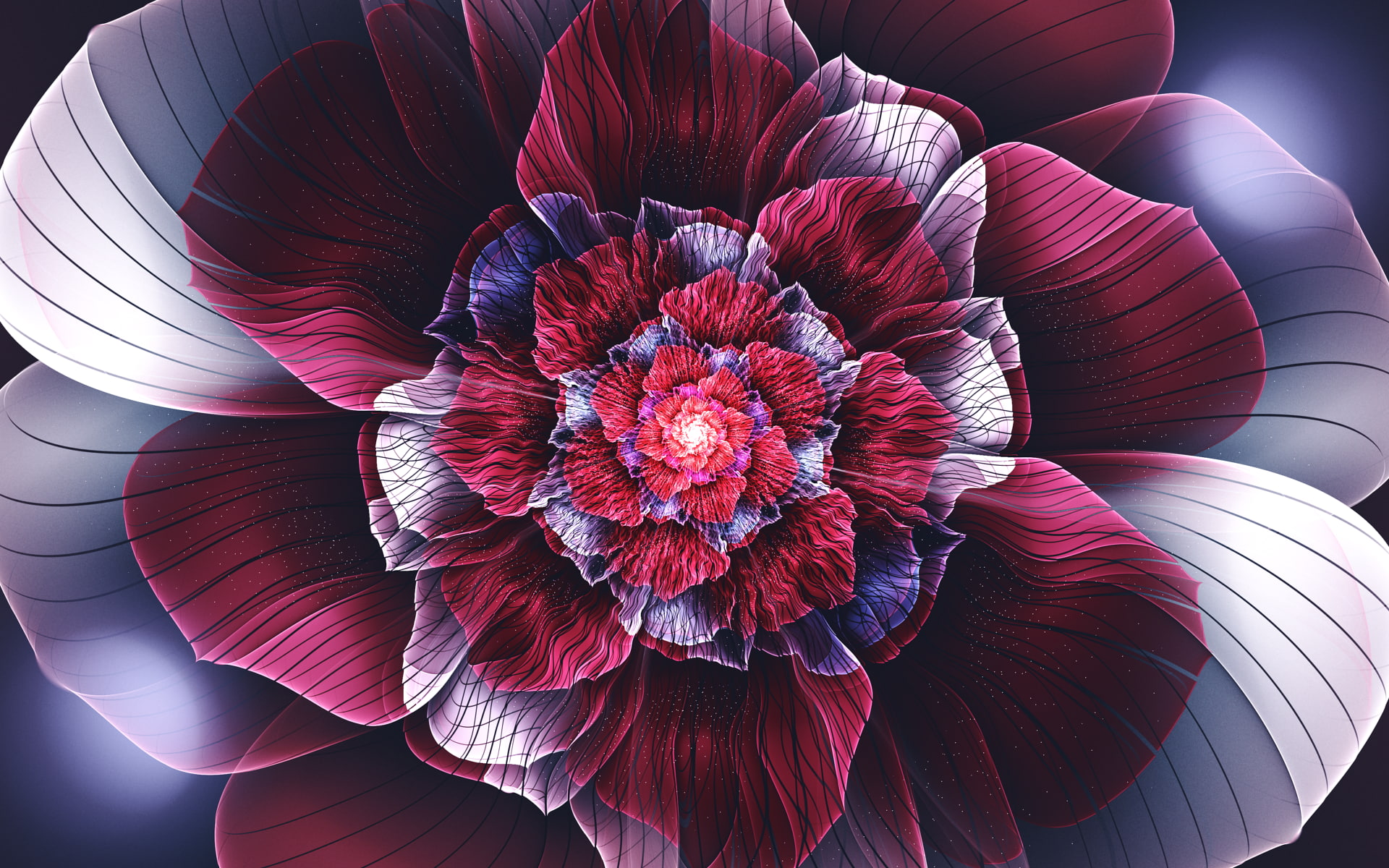 flowers, abstract, fractal flowers, 1080P, petals, fractal, symmetry, digital art, HD Wallpaper