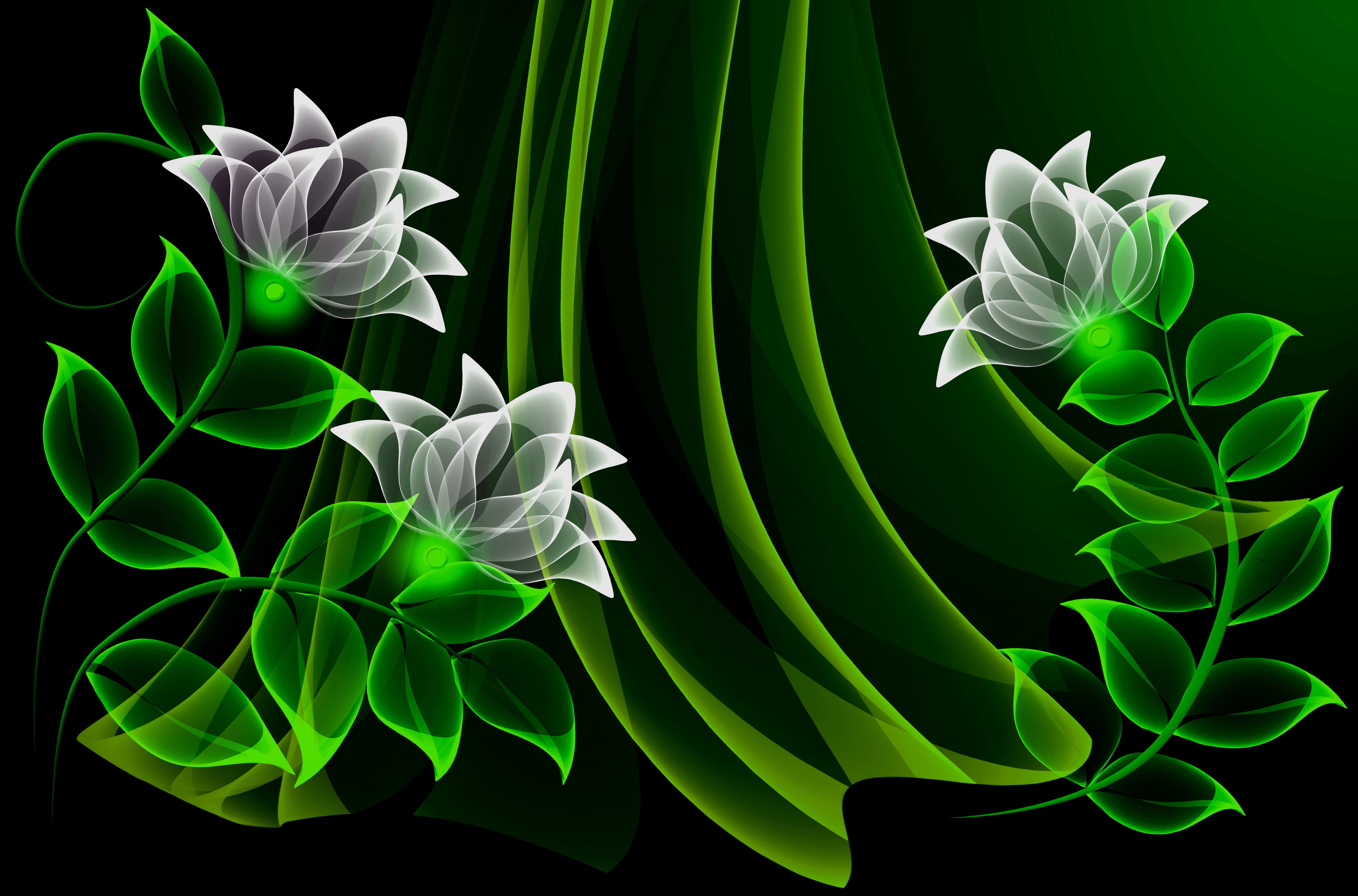 close-up, leaf, floral Pattern, studio shot, backdrop, plant, creativity, indoors, background, botany, flowers, pattern, flowering plant, flower head, computer Graphic, HD Wallpaper