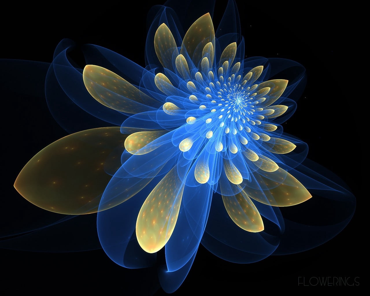 flower head, beauty in nature, sea, no people, white, yellow, fragility, fantasy, inflorescence, nature, fractal, studio shot, space, marine, freshness, HD Wallpaper