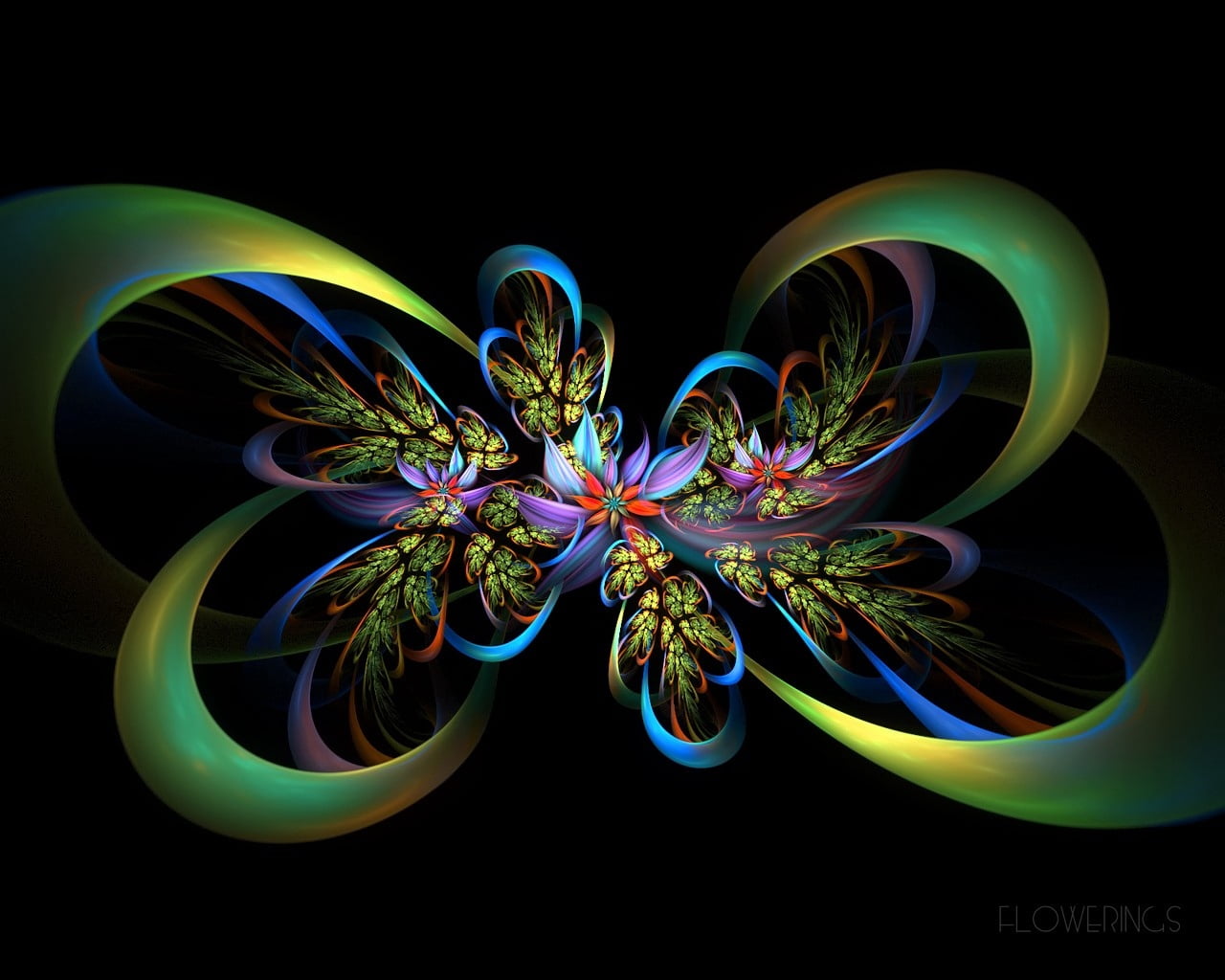 flower, art, vibrant Color, patterns, lines, vector, light painting, illuminated, long exposure, photographic Effects, digitally Generated Image, flowers, HD Wallpaper