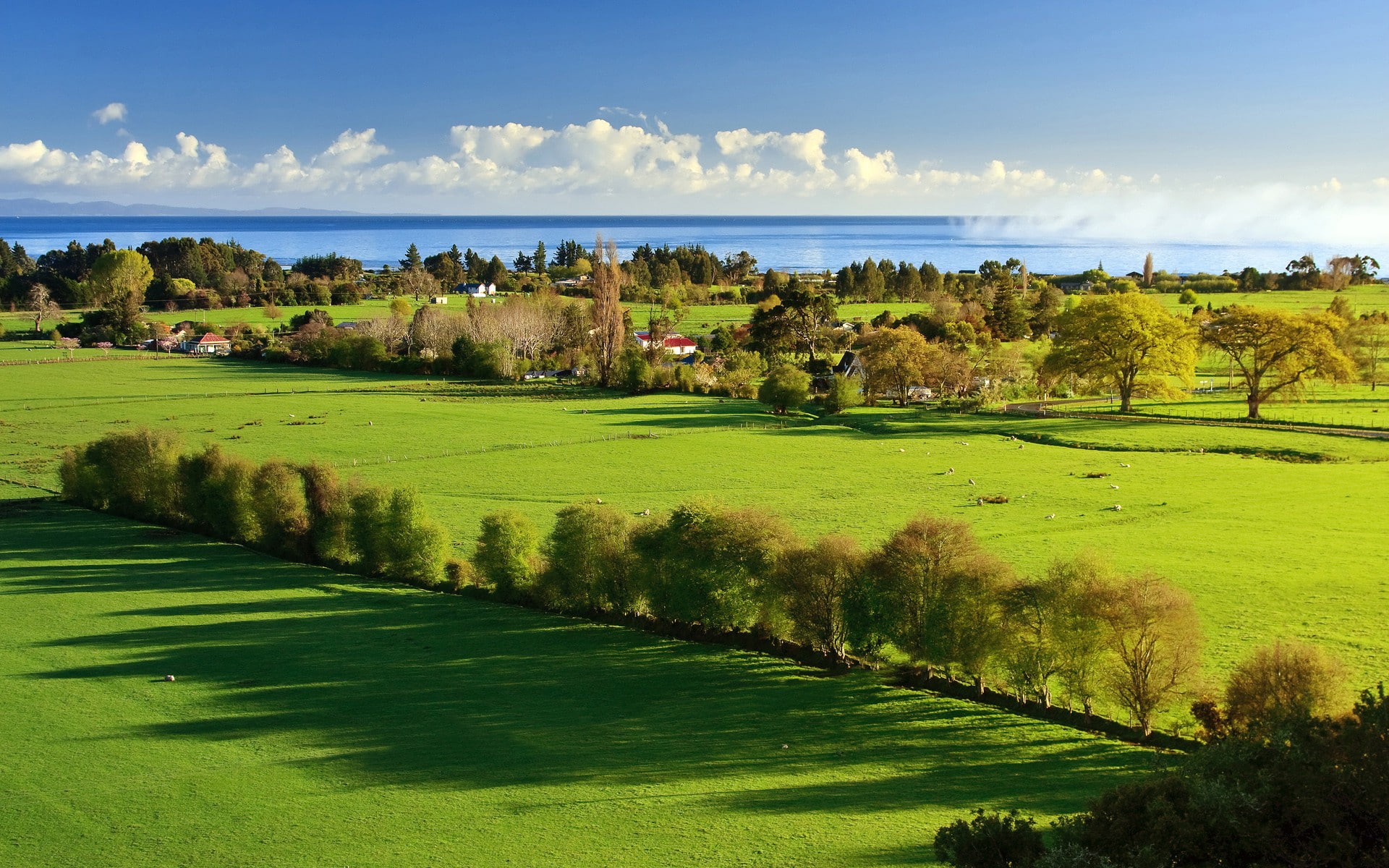 field, coast, landscape, farm, grass, 1080P, pasture, aerial view, HD Wallpaper