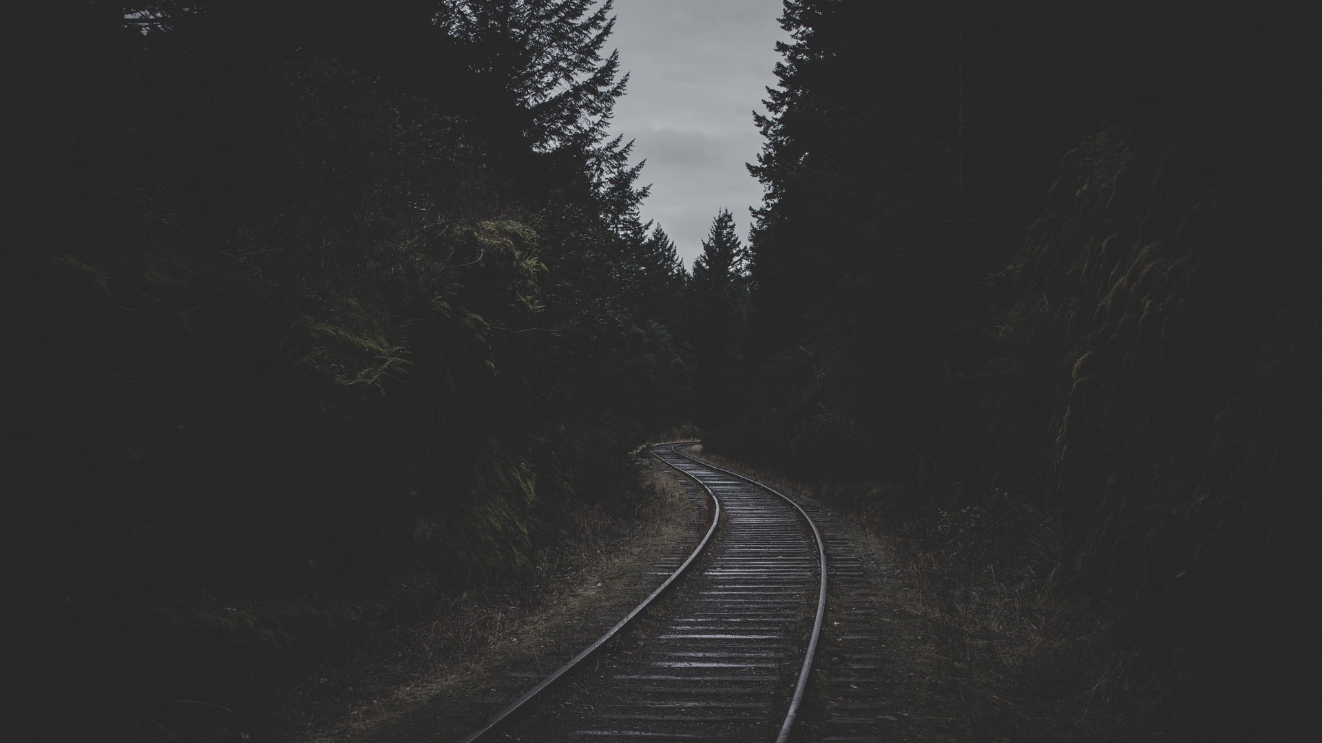 1080P, railroad track, forest, nature, dark, landscape, HD Wallpaper