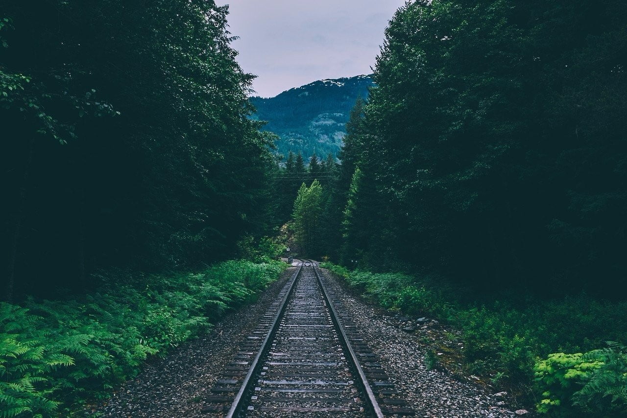 nature, vanishing point, long, scenics - nature, growth, tranquility, the way forward, diminishing perspective, tranquil scene, beauty in nature, transportation, HD Wallpaper