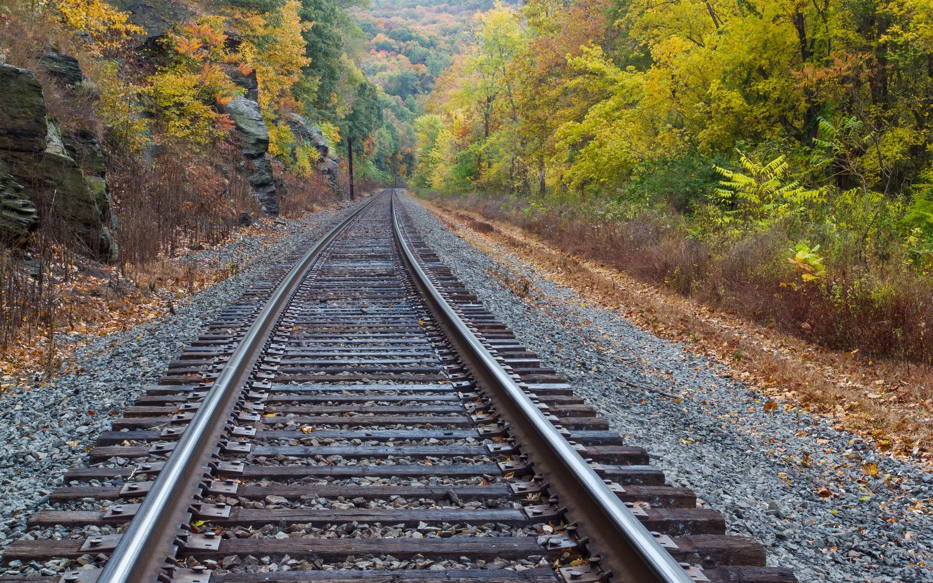the way forward, direction, scenics - nature, railway, change, track, long, no people, day, public transportation, rail transportation, 1080P, beauty in nature, HD Wallpaper