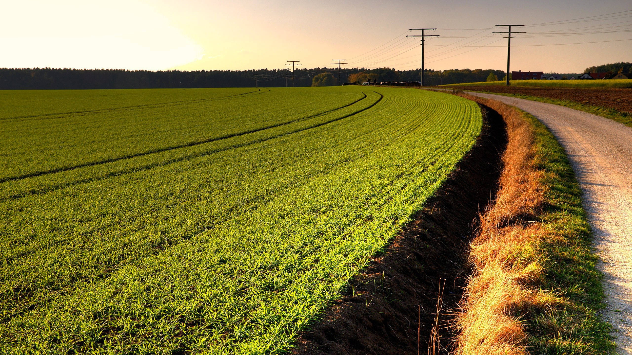 crop, agriculture, scenics - nature, environment, power supply, sky, farm, growth, land, parallel, grass, electricity, outdoors, rural scene, beauty in nature, HD Wallpaper